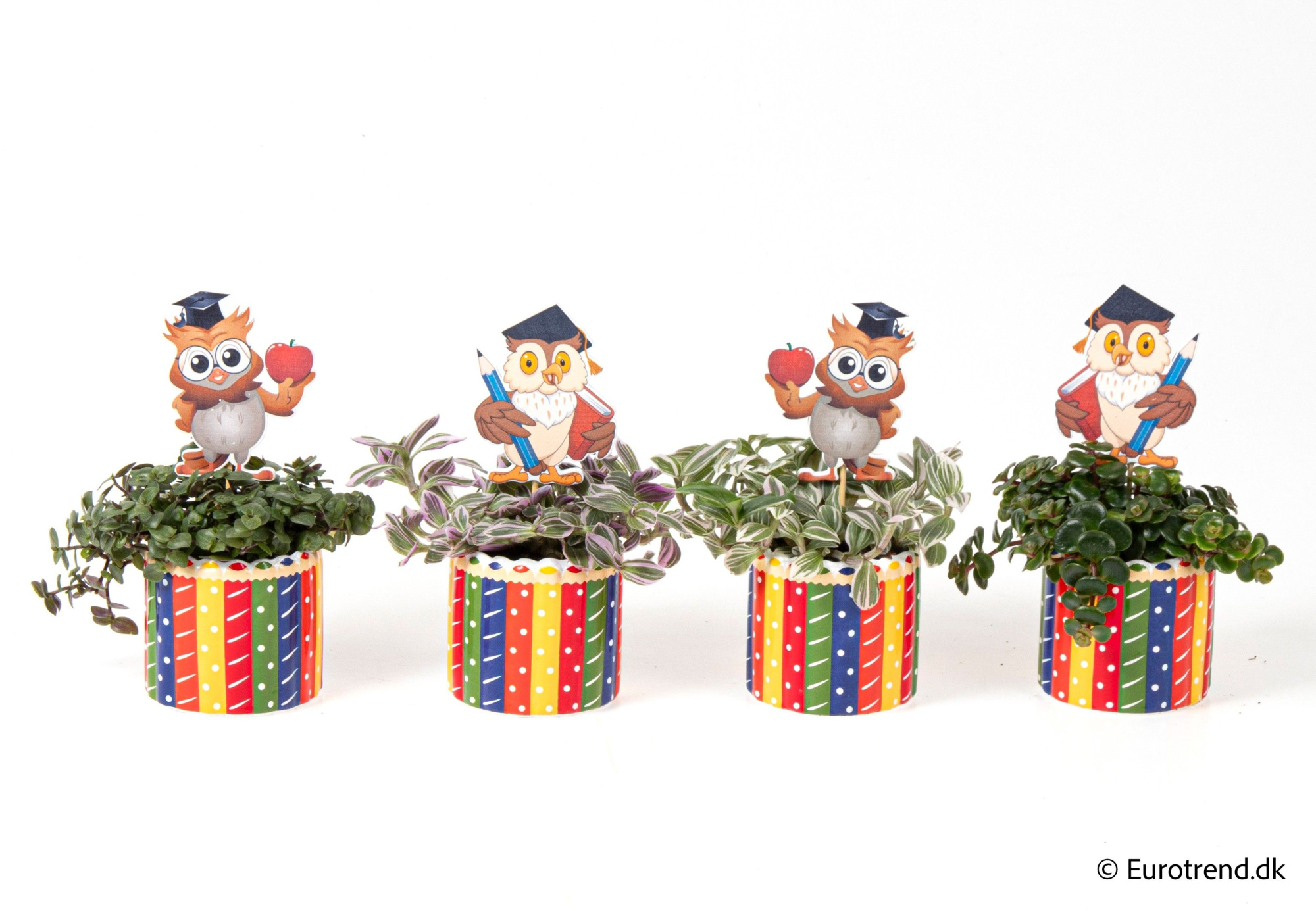 Green mix in pencil ceramic - Spring, Summer & Autumn 2025, D 6 cm