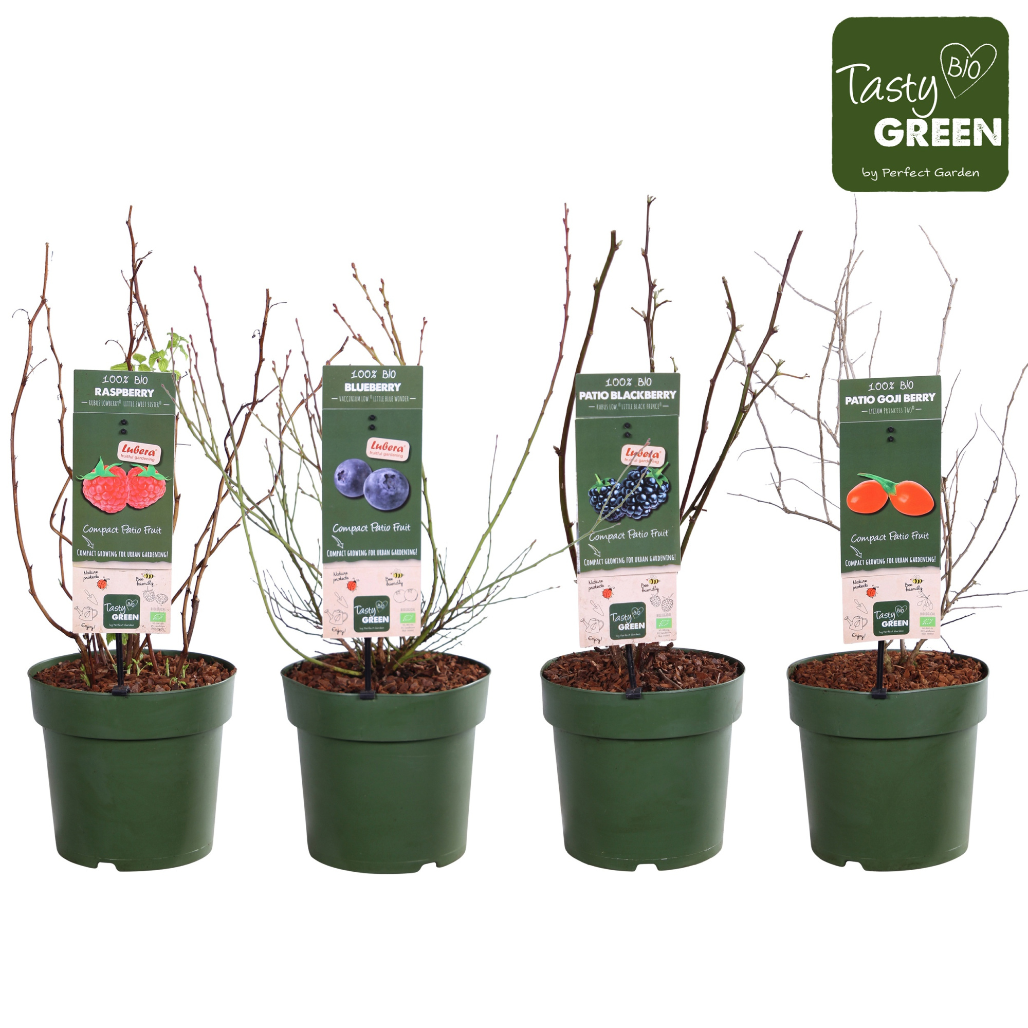 Terrace fruit mix laag Patio bio P23, D 23