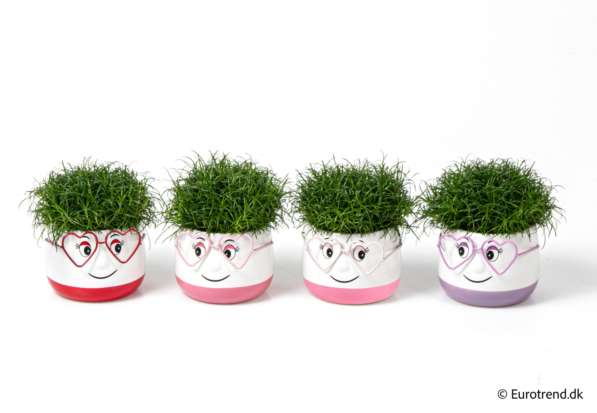 Sagina in Valentine ceramic 2026, D 6