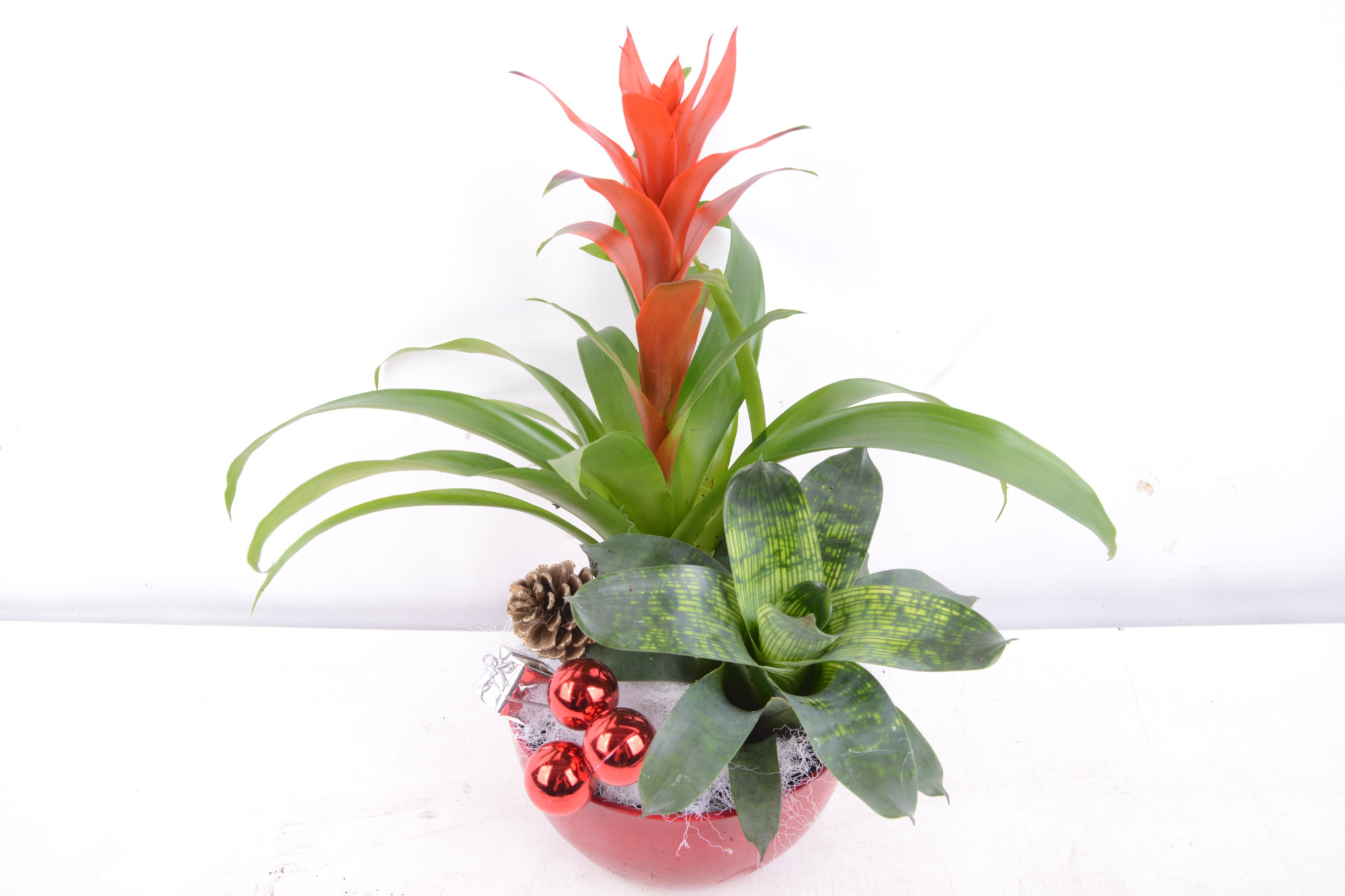 schaal kerst, D 16 cm