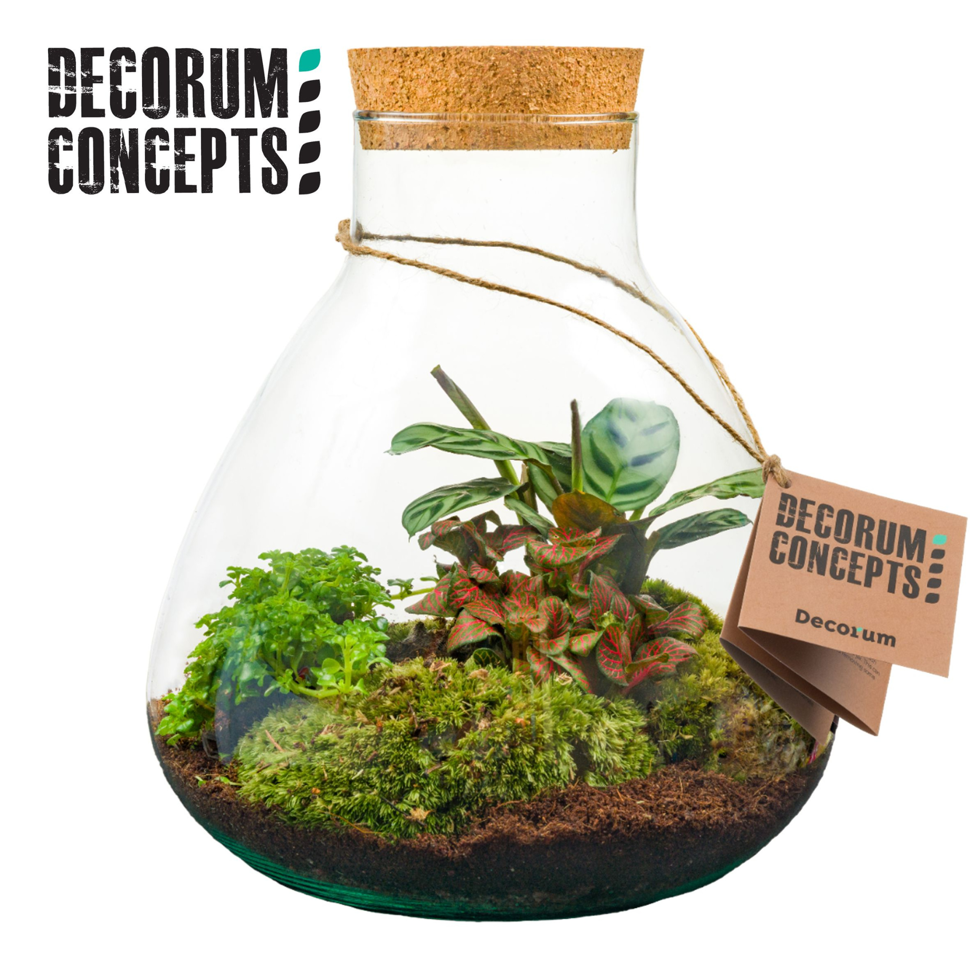 Terrarium Erlenmeyer medium (Decorum concepts), D 22