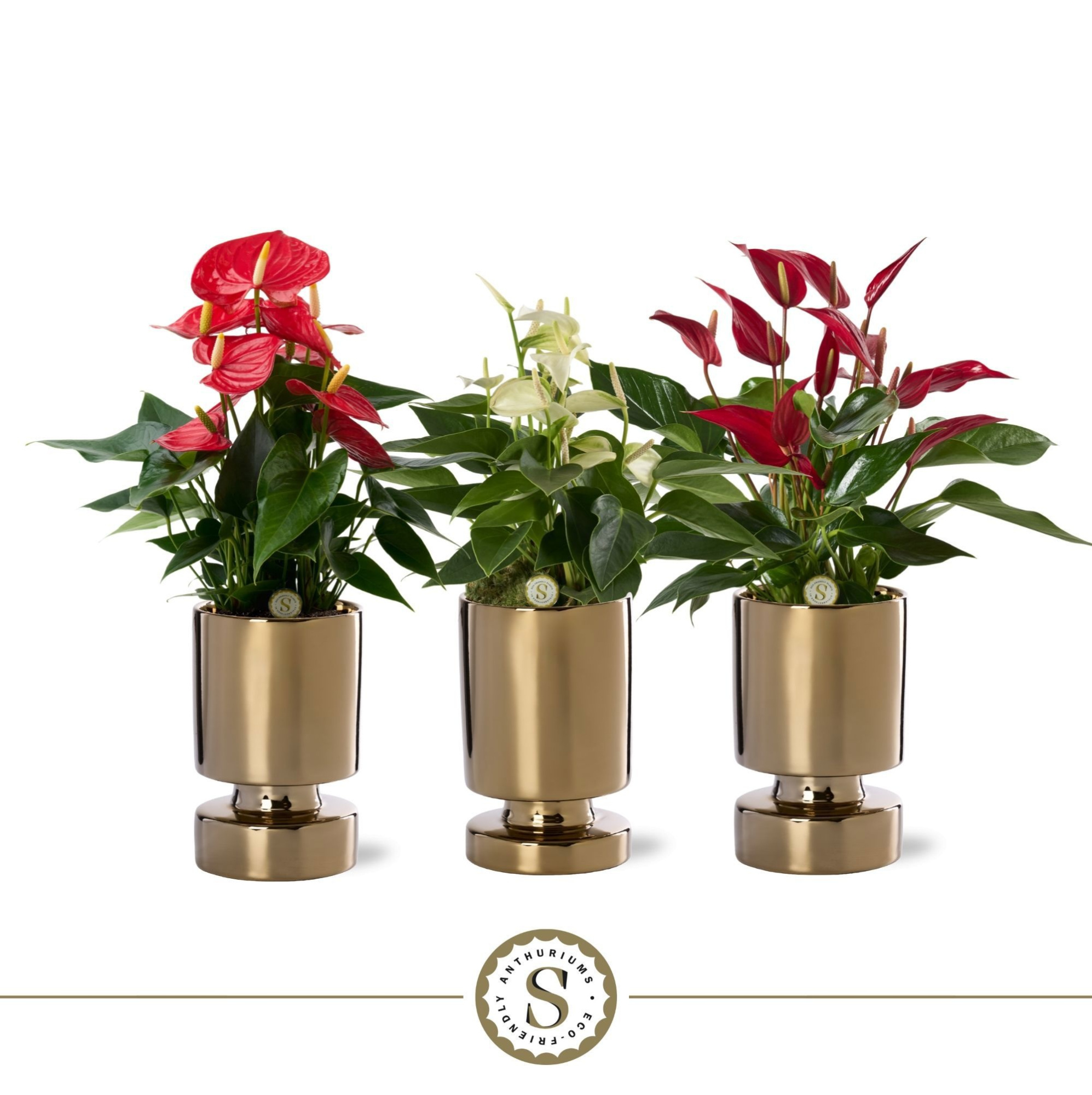 Stockholm Gold Keramiek 12cm Mix, D 12 cm