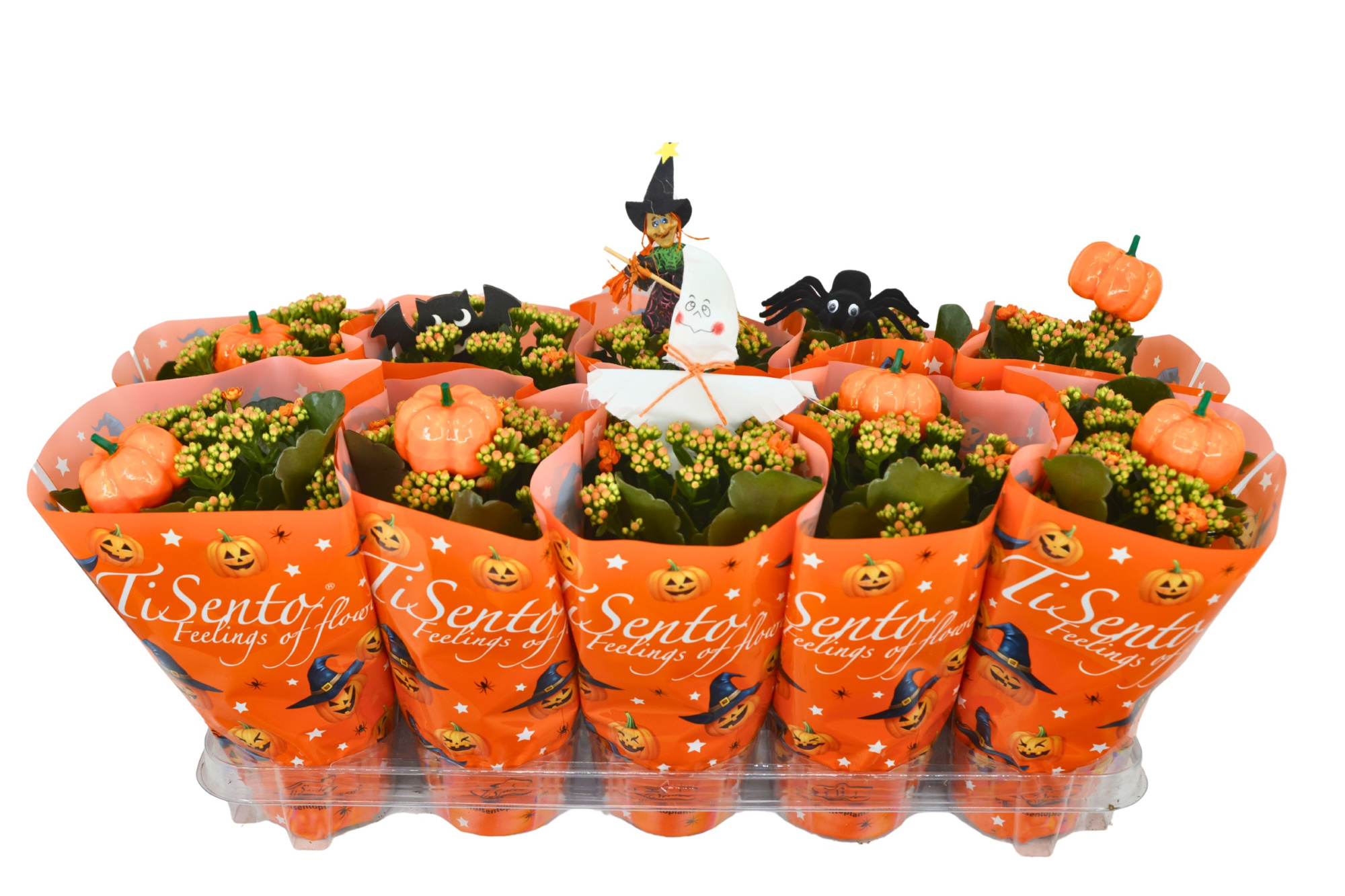 Calandiva 12 cm Halloween Spooky flame + Stekers, D 12 cm