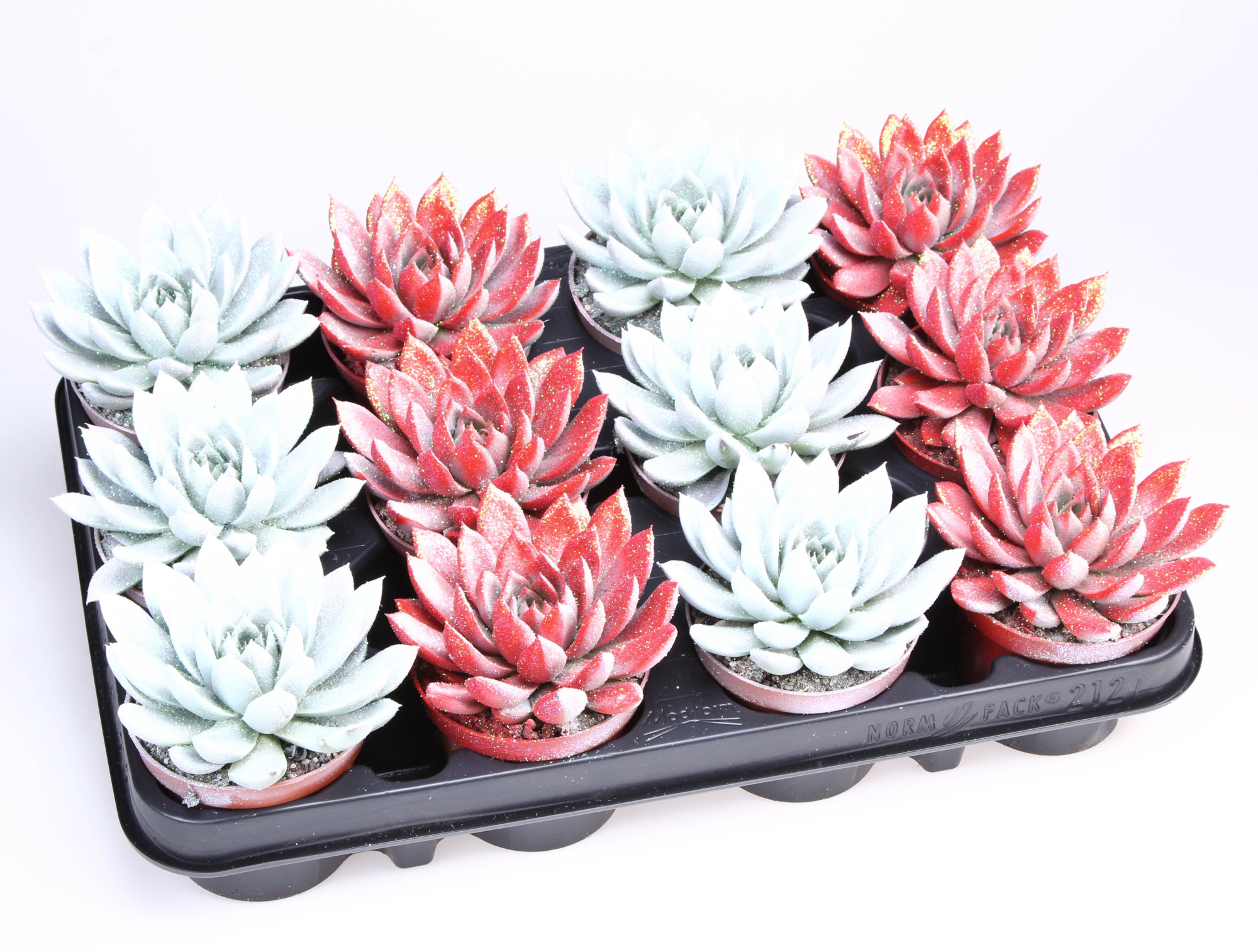 Miranda Valentine Glitermix Red/White, D 8,5 cm