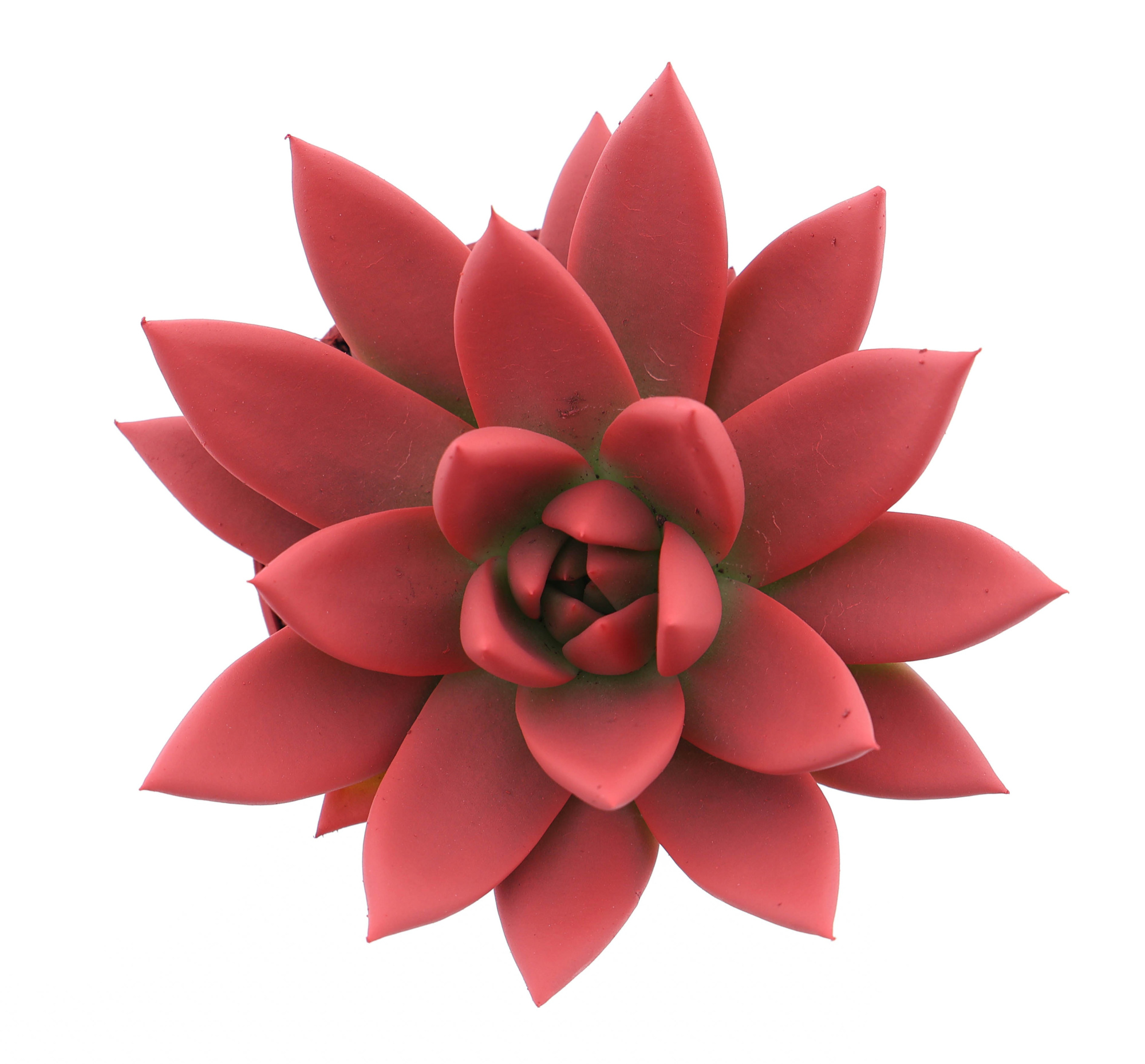 Rainbow bright red, D 8,5 cm