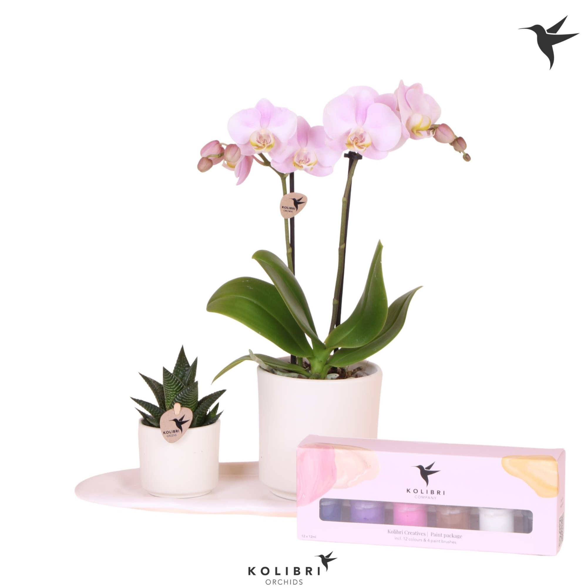 Kolibri Gift Set small Painting, D 18 cm