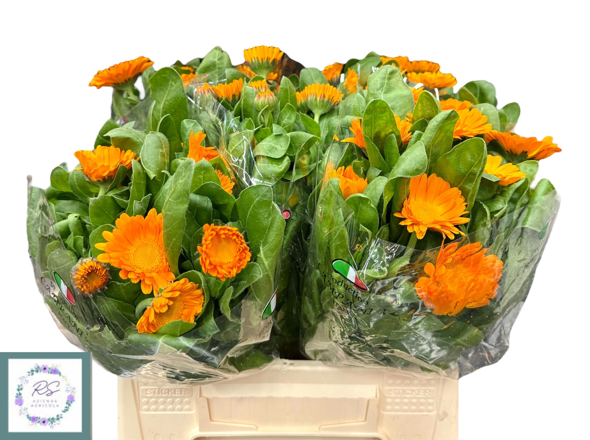 Календула Овериг 35, шт.