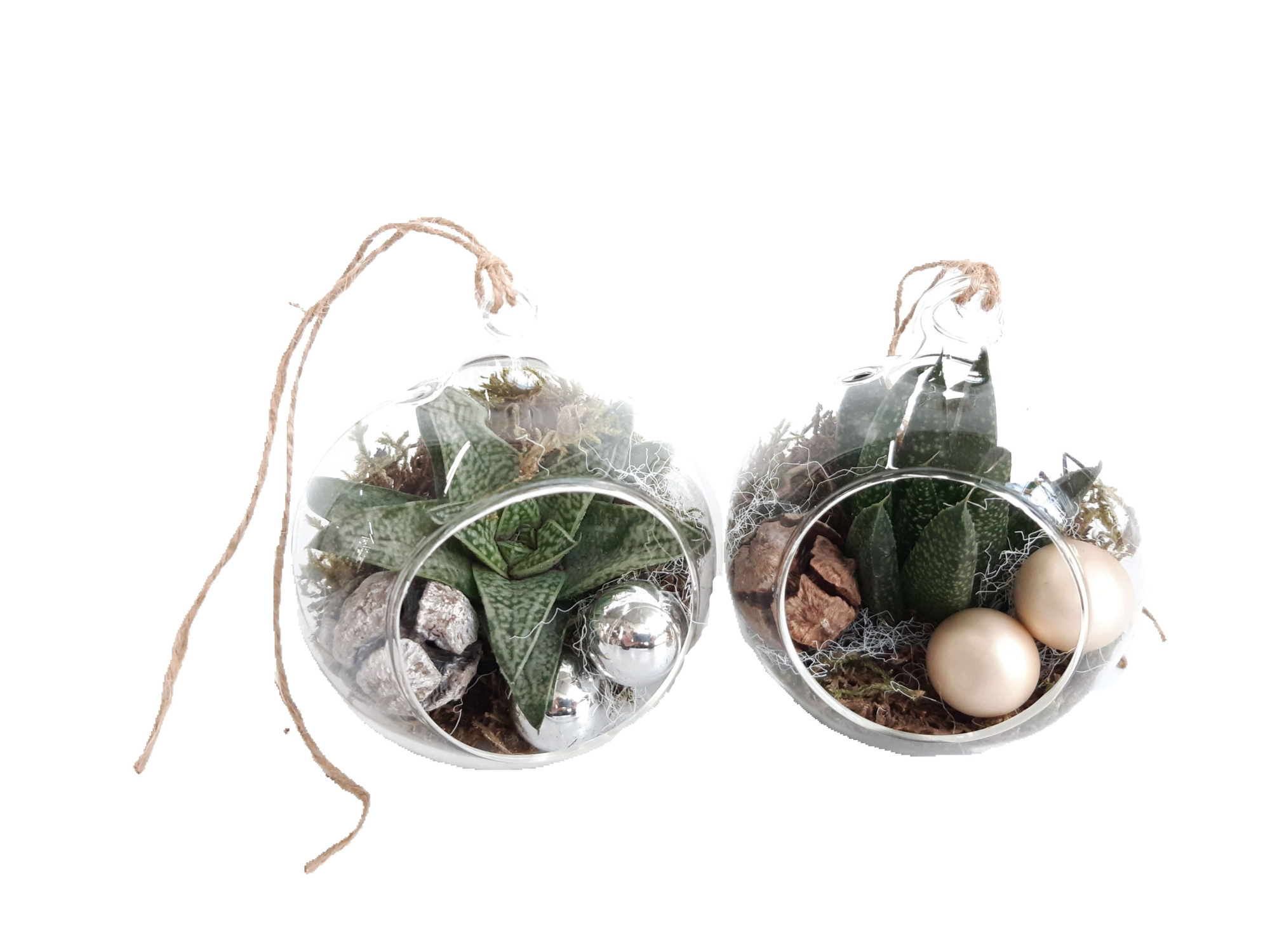 GB9KST Glasbol 8cm Gasteria Kerst, D 8 cm