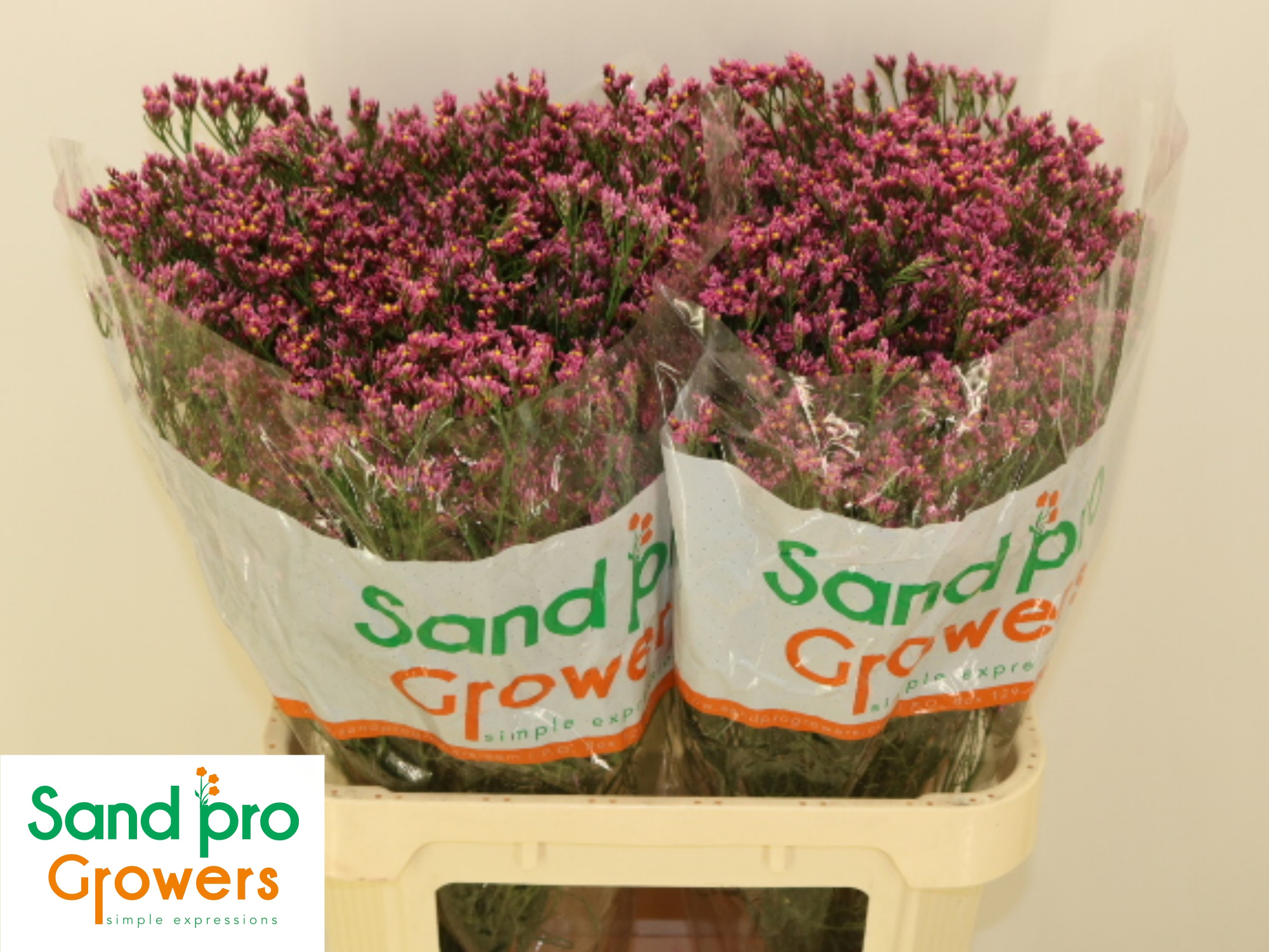 Лимониум Тифани Даймонд 80, шт.