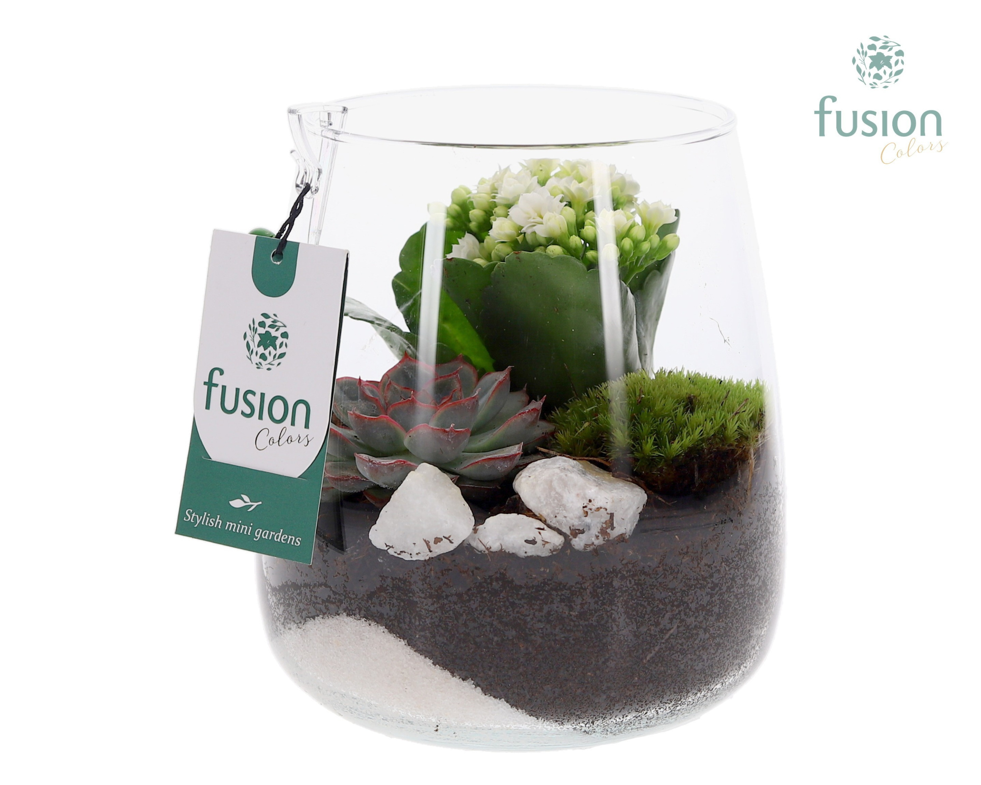 Glazen vaas met Kalanchoe en Succulent, D 15