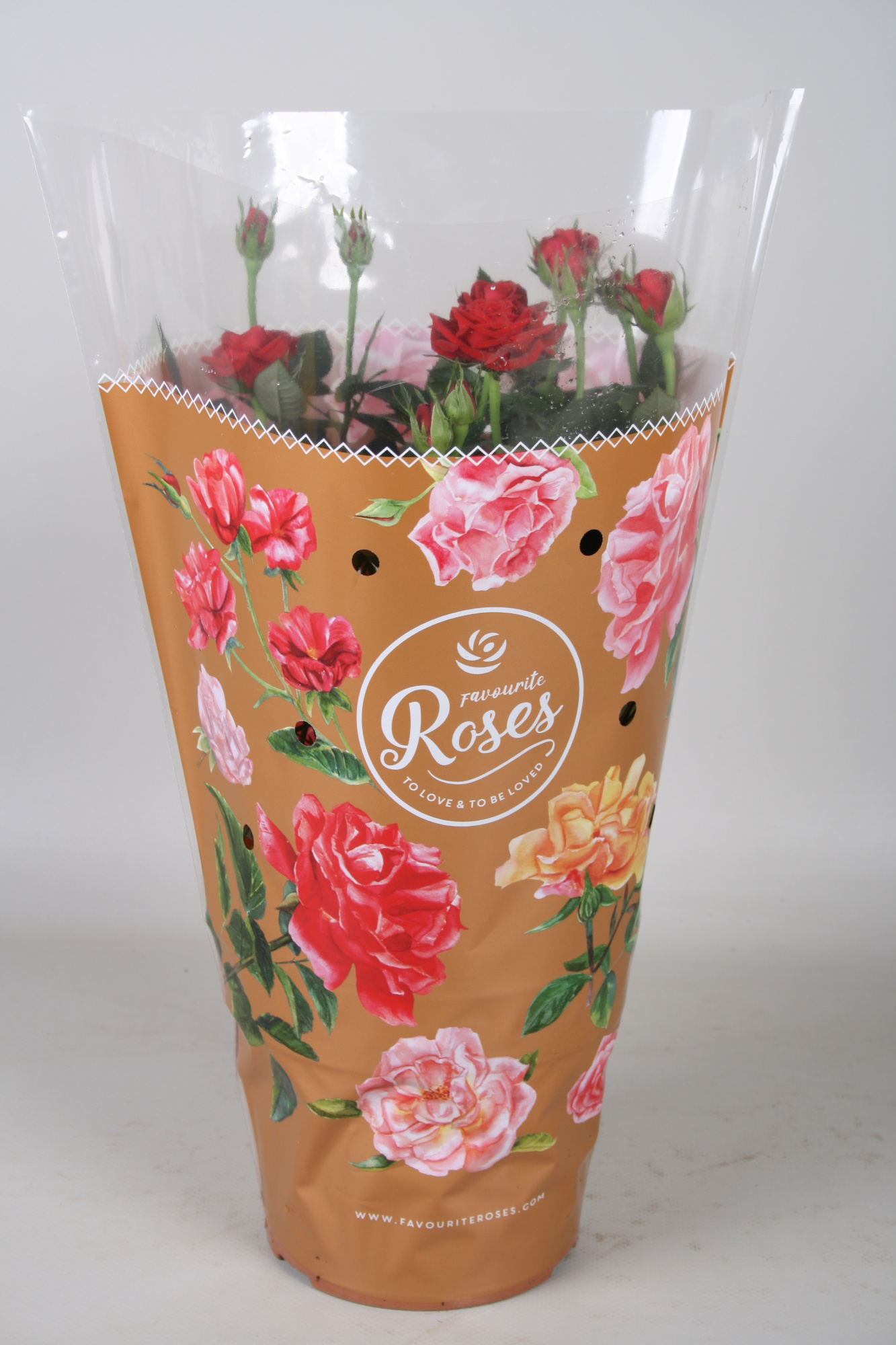 Rosa Favourite Roses red+seizoenshoes, D 17 cm