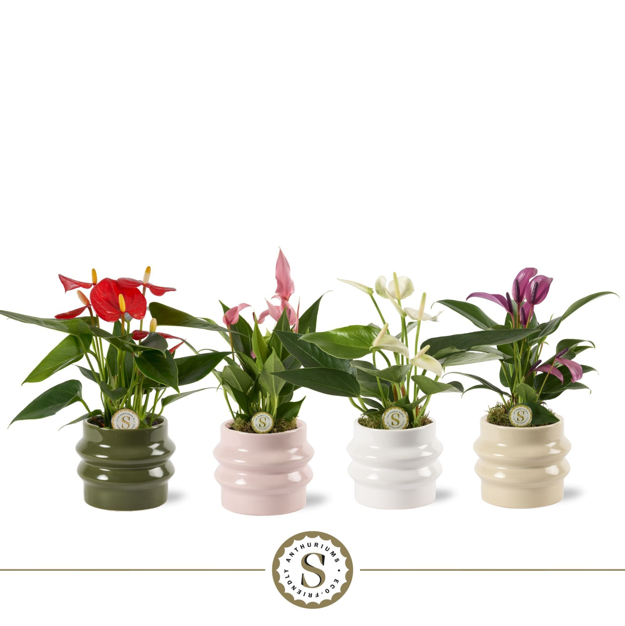 Lissabon Keramiek - Mix, D 7 cm