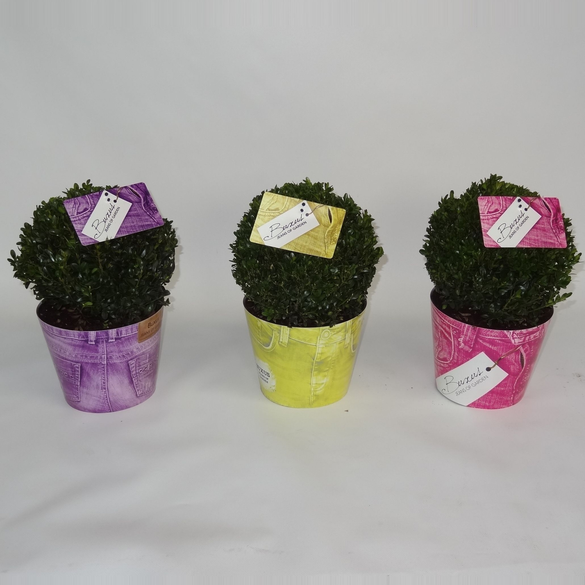 Potcover Jeans felle kleuren, D 19 cm