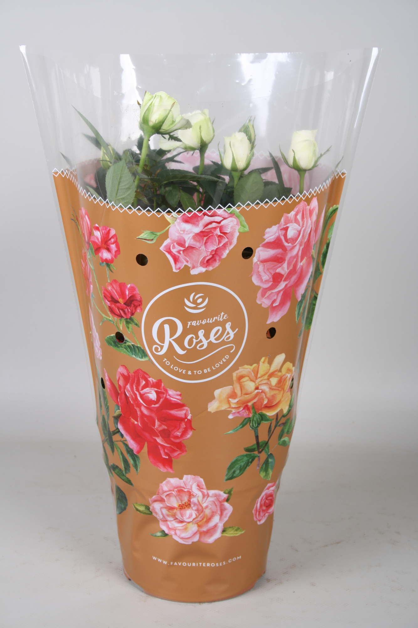 Rosa Favourite Roses white+seizoenshoes, D 17 cm