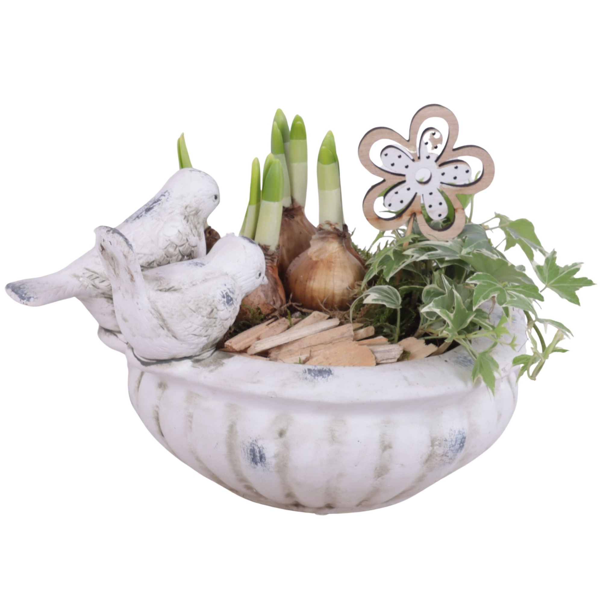 Bulbs Arr. Narcis Ceramic Bird Bath Ø23cm, D 23