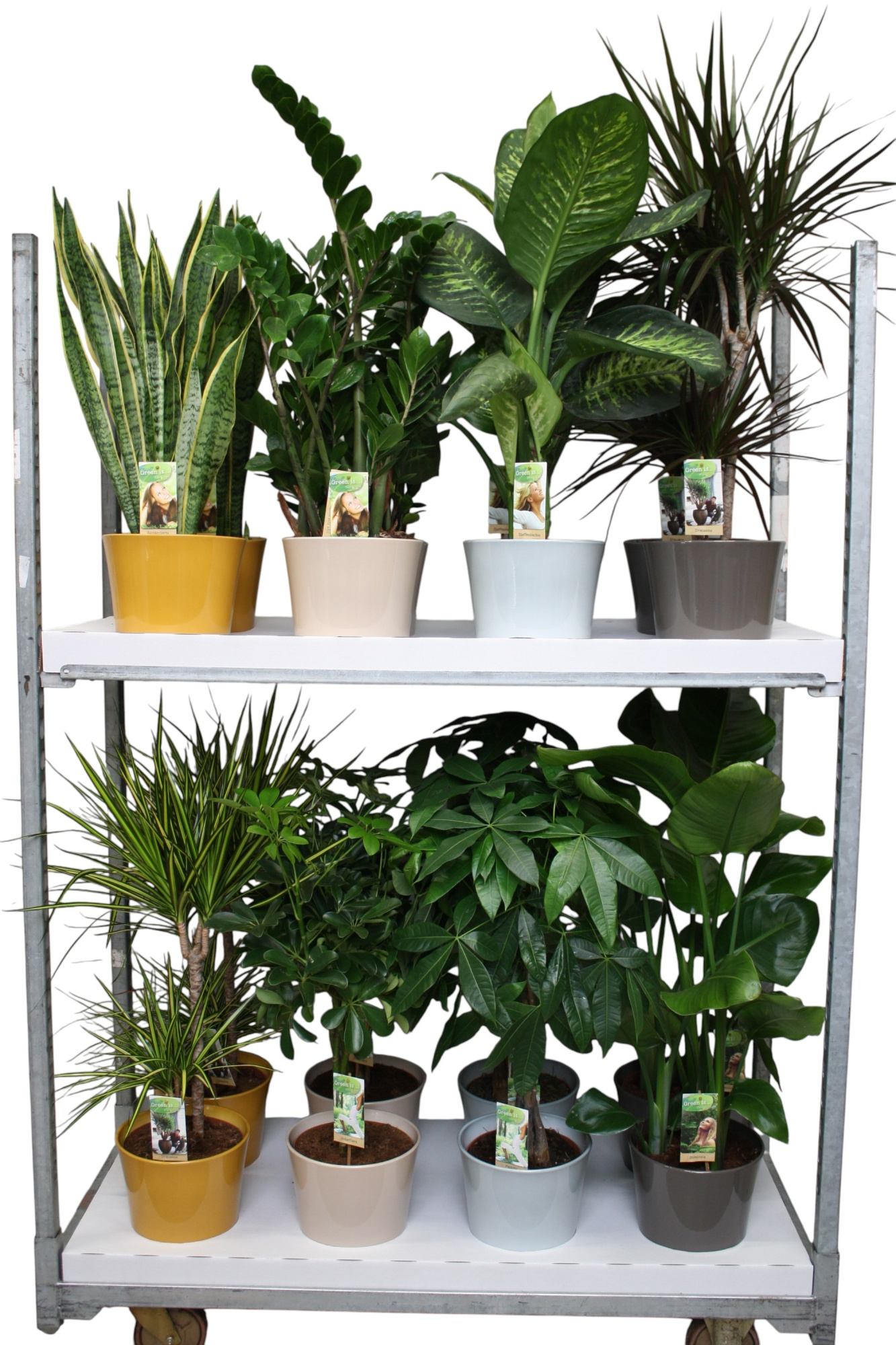 Plantenmix p21 in Trend keramiek mix - - foto is indicatief, D 21