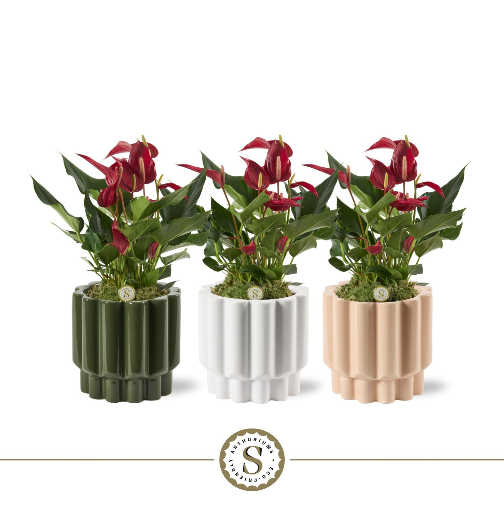 Monza Keramiek Roja, D 12 cm