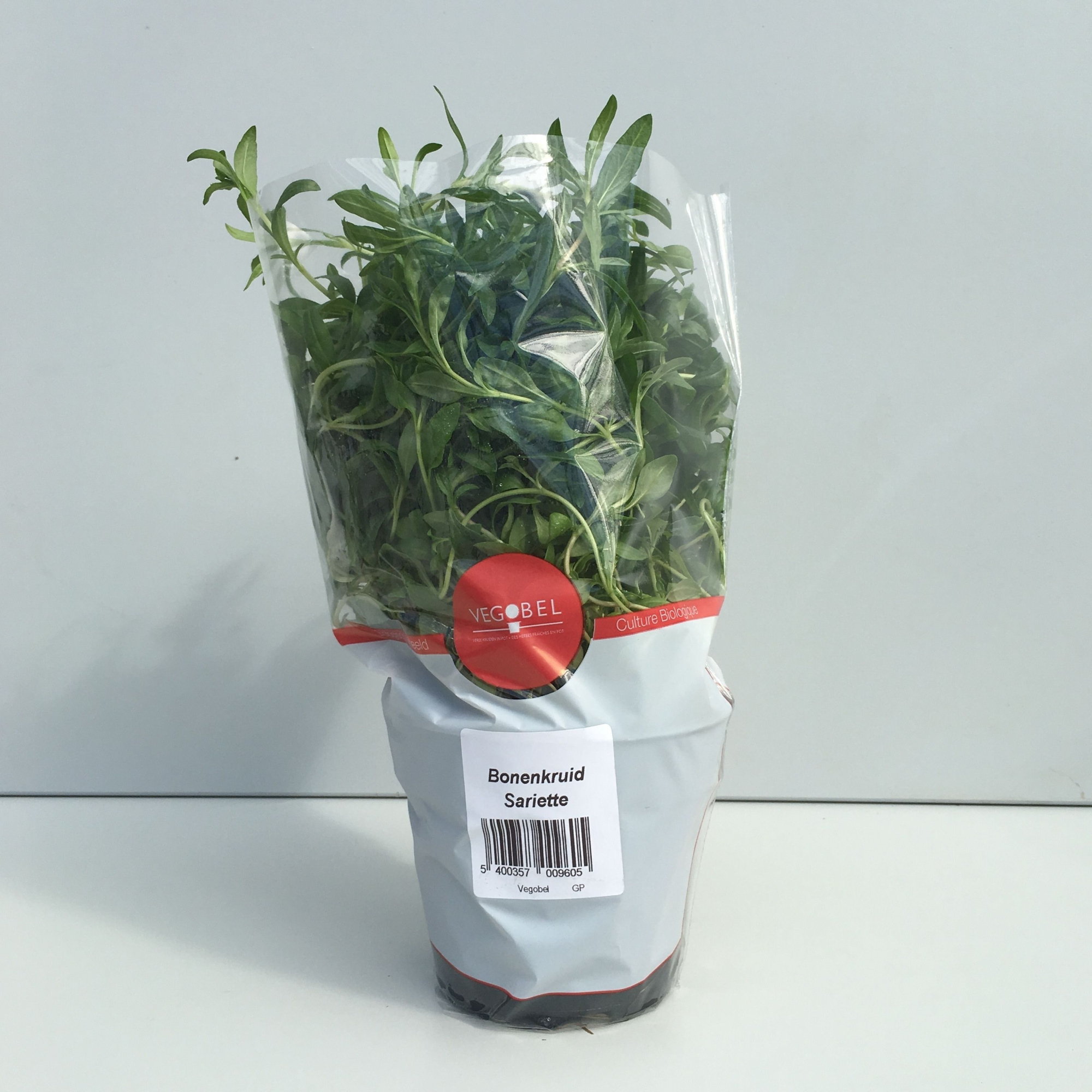 Bonenkruid P9, D 9 cm