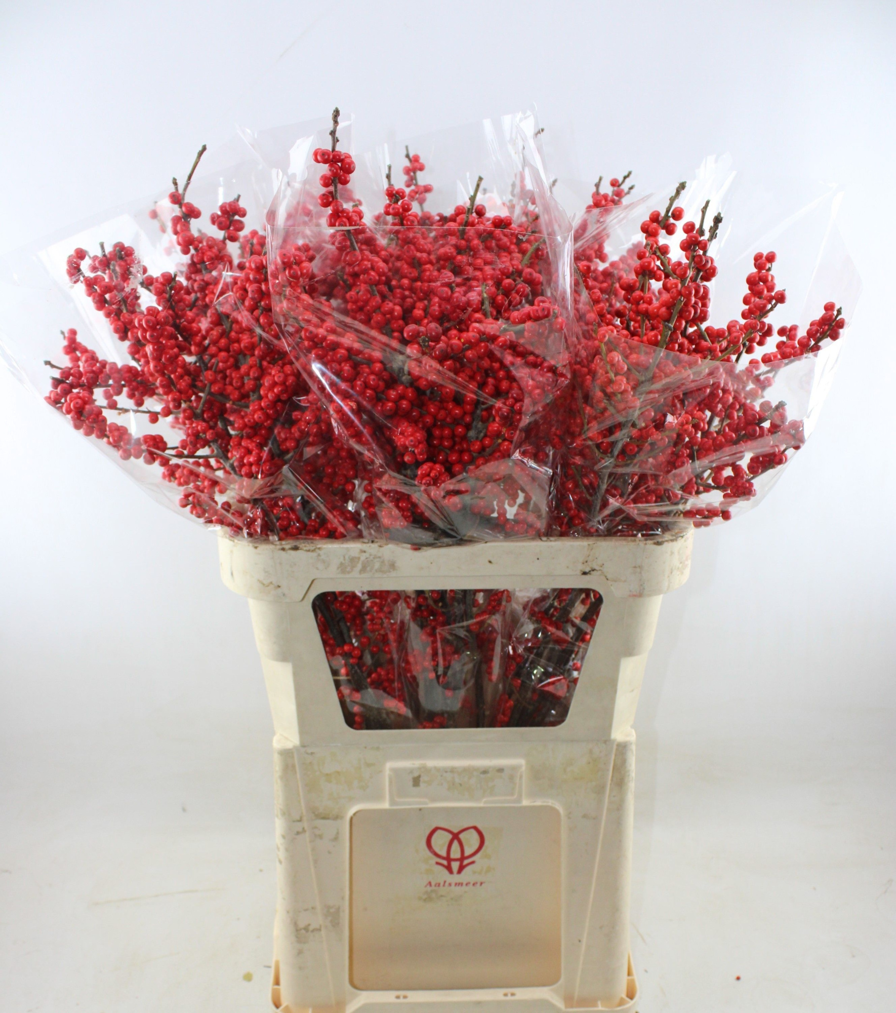 Илекс Красные ягоды 80, шт.