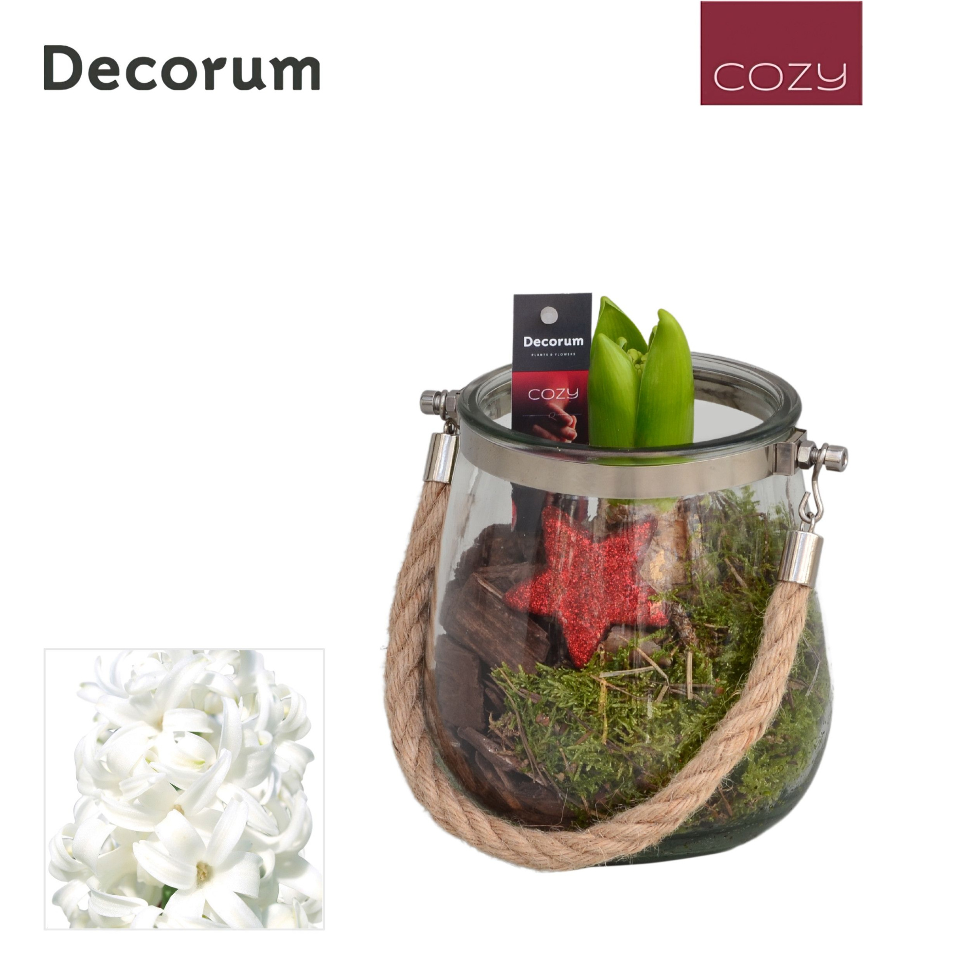 Hyacint Glas met Touw HL13806WP [COZY], D 13