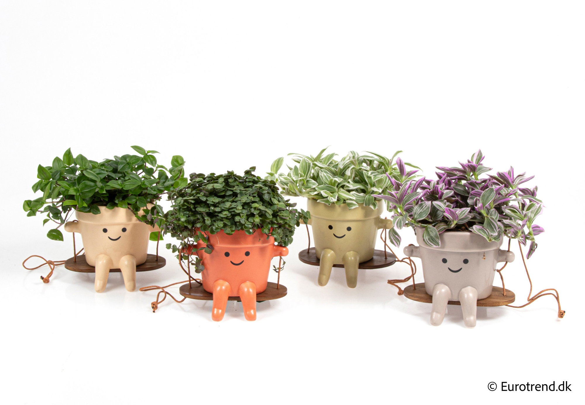 Green mix in New Look ceramic 2026, D 10,5