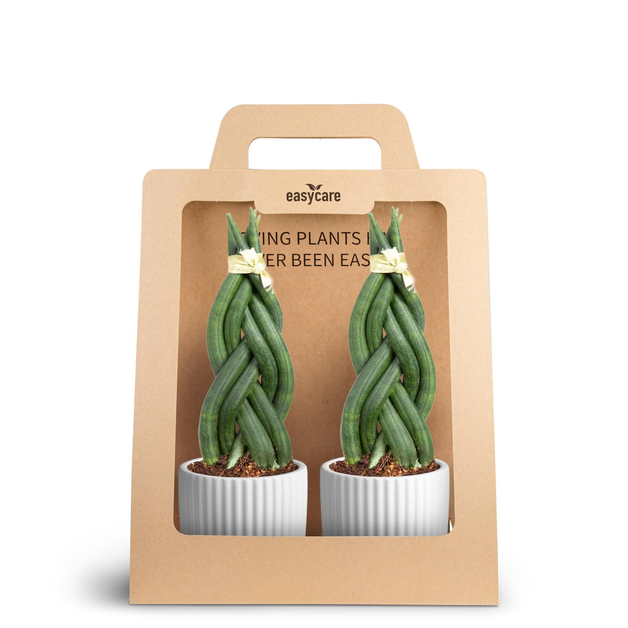 2-Pack Nordic White, Braid, D 7 cm