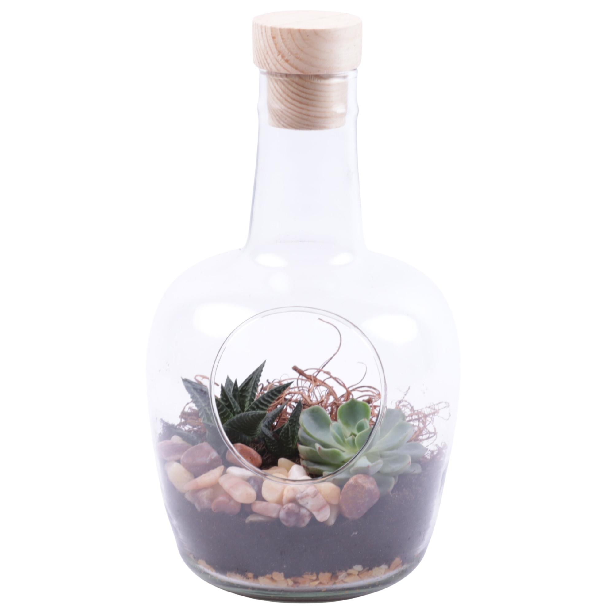 Yearround Arr. Succulent Glass Vase with Hole Ø15cm 2PP, D 15 cm