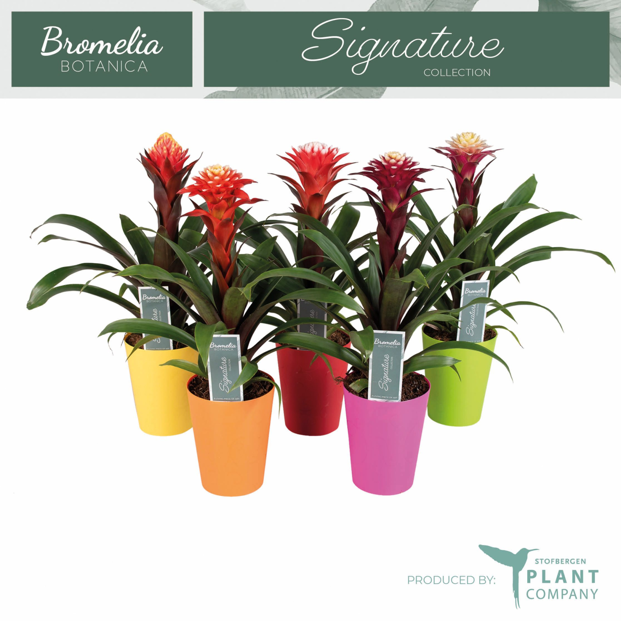 Fortuna mix in keramiek, D 12 cm