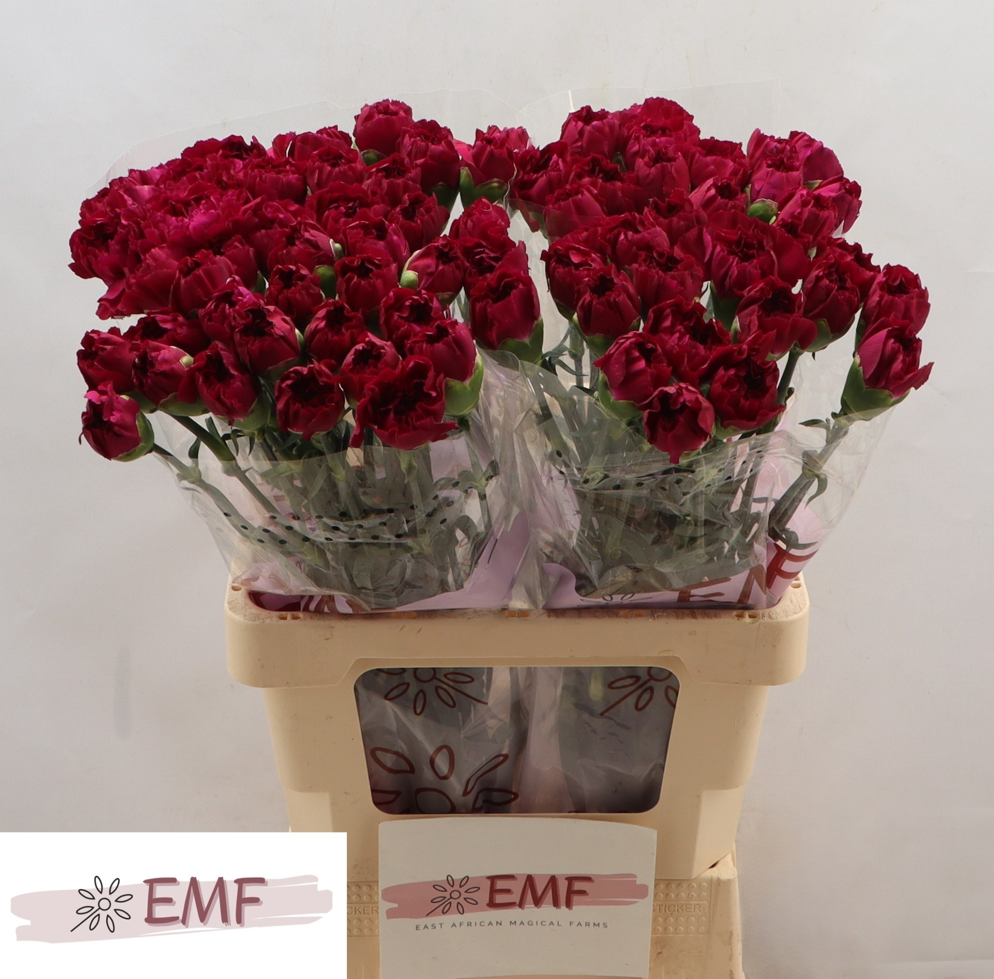 Диантус од. Мираж, шт.