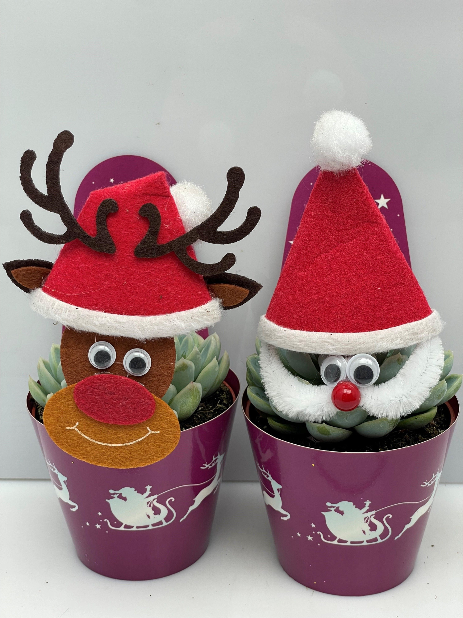 958 50%Kerstman +50%Reindeer vet Carry Cover8,5cm Engeland, D 8,5 cm