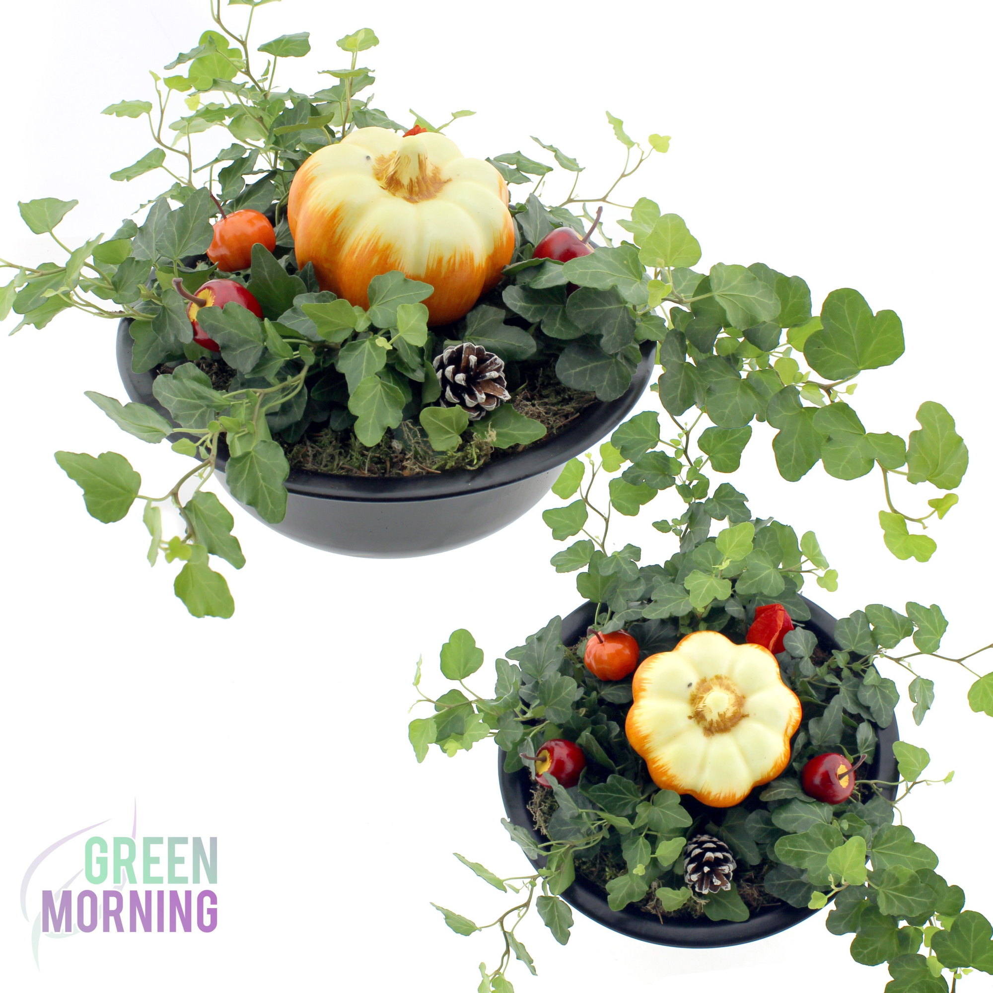 Arrangement Hedera schaal 24 cm met bijstekers, D 24 cm