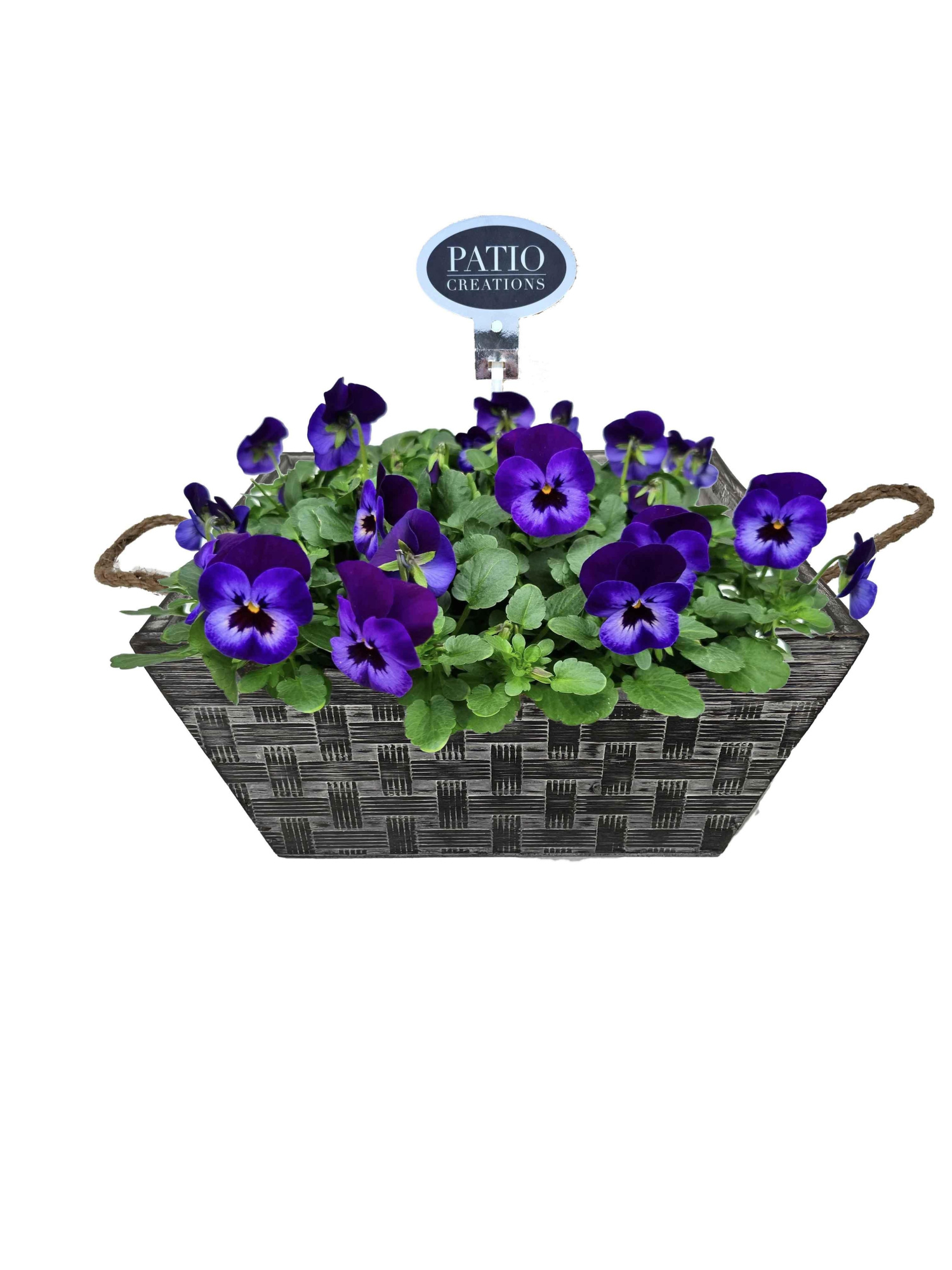 V835-9006 Viola Milo vierkant, D 23