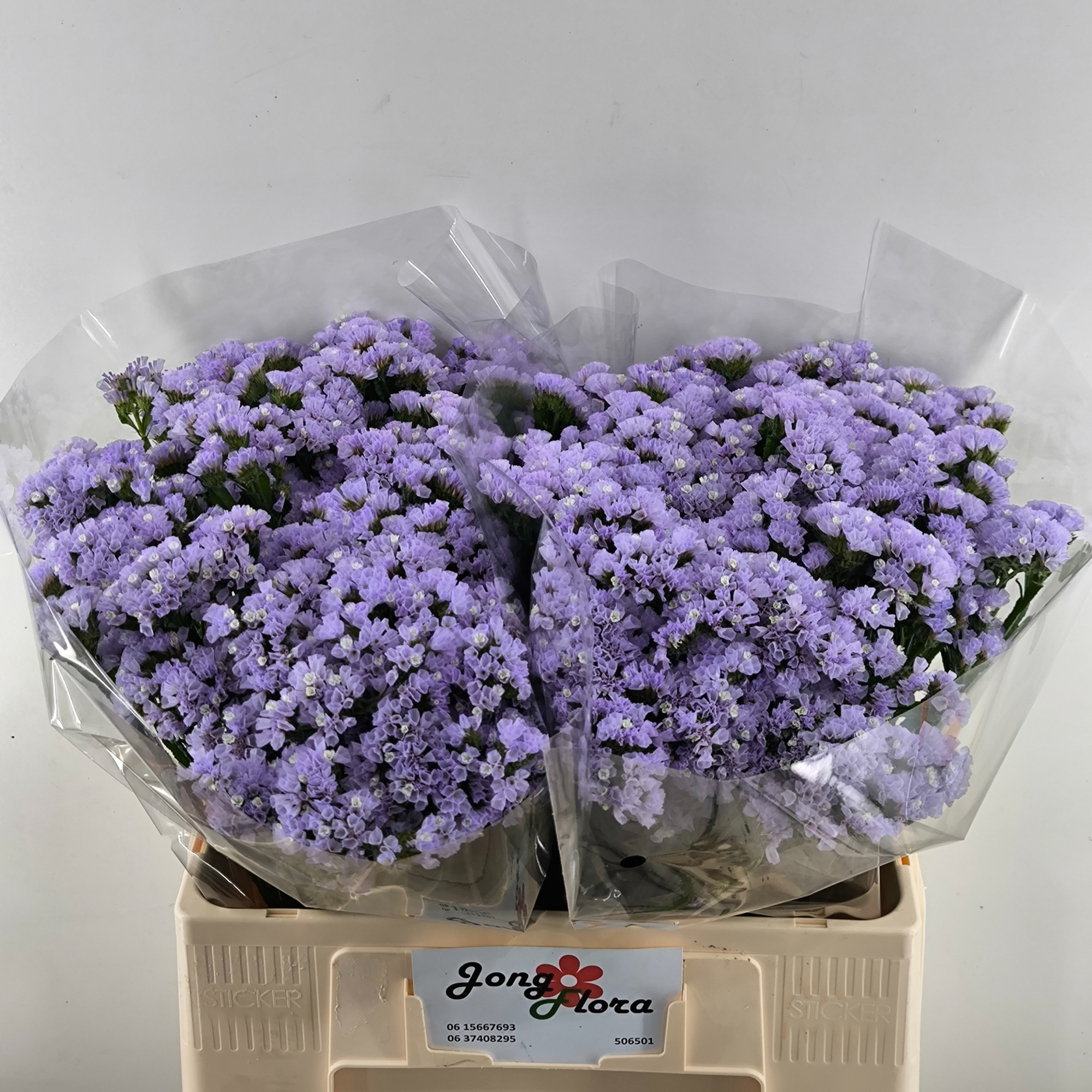 Статица Мермейд Вингз 60, шт.