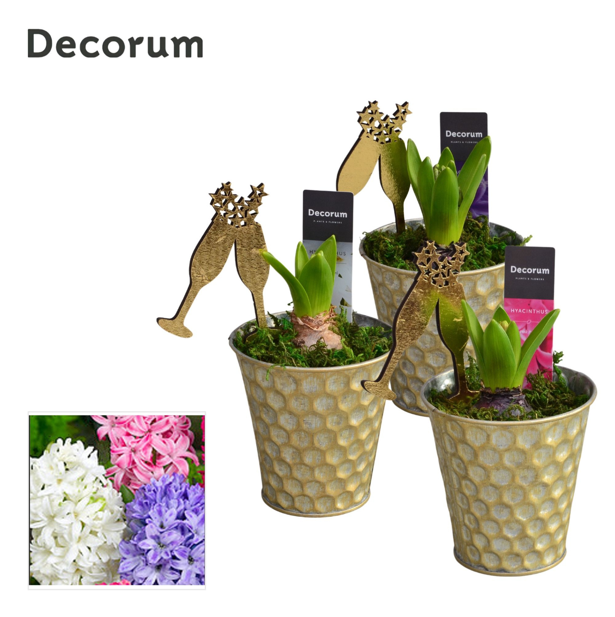 Hyacint Honingraat Zink HL13662NY [NEW YEAR], D 10