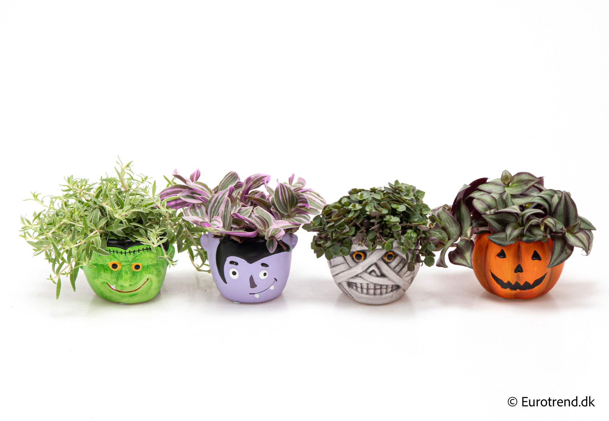 Green Mix in Halloween ceramic 2025, D 6 cm
