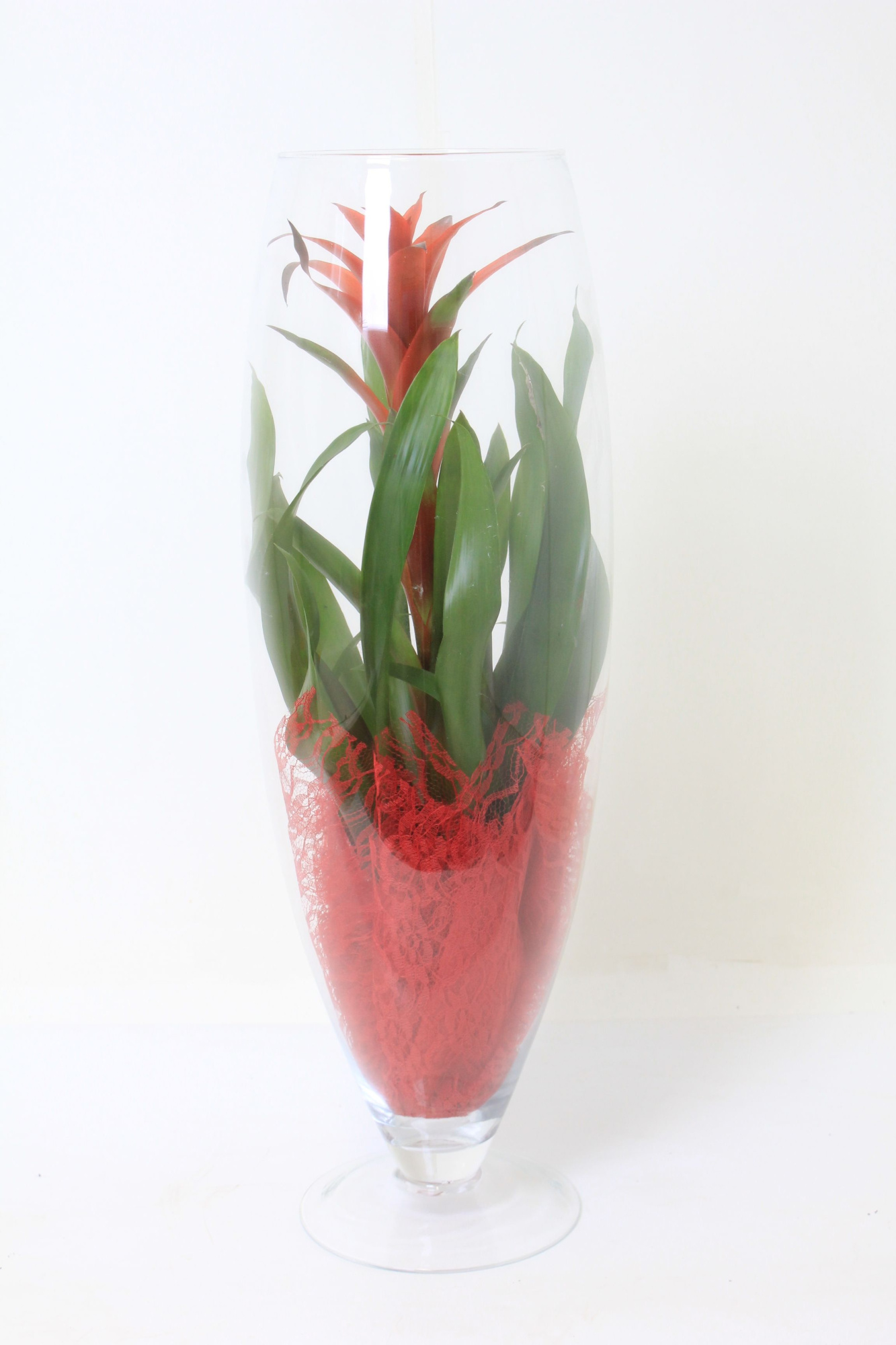 Ostara In VoetVaas 70, D 22 cm