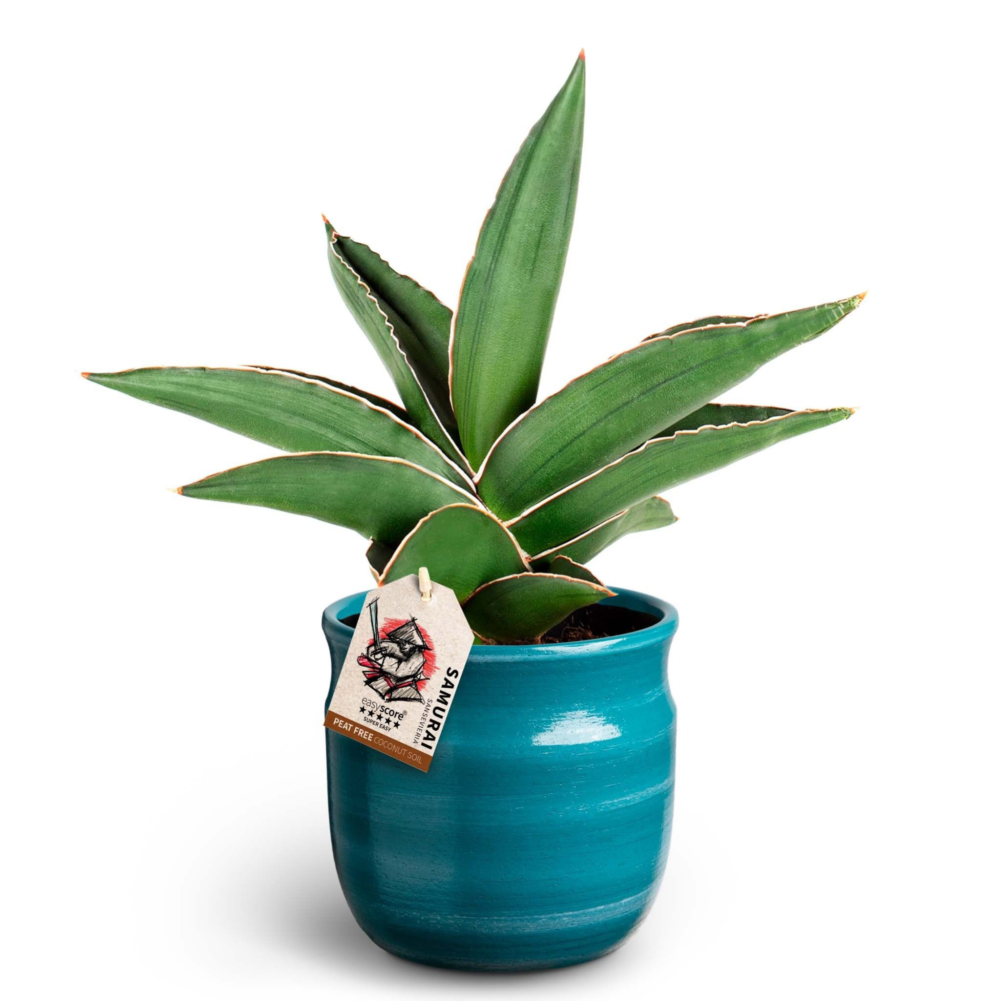 Maceta Teal, Samurai, D 12 cm