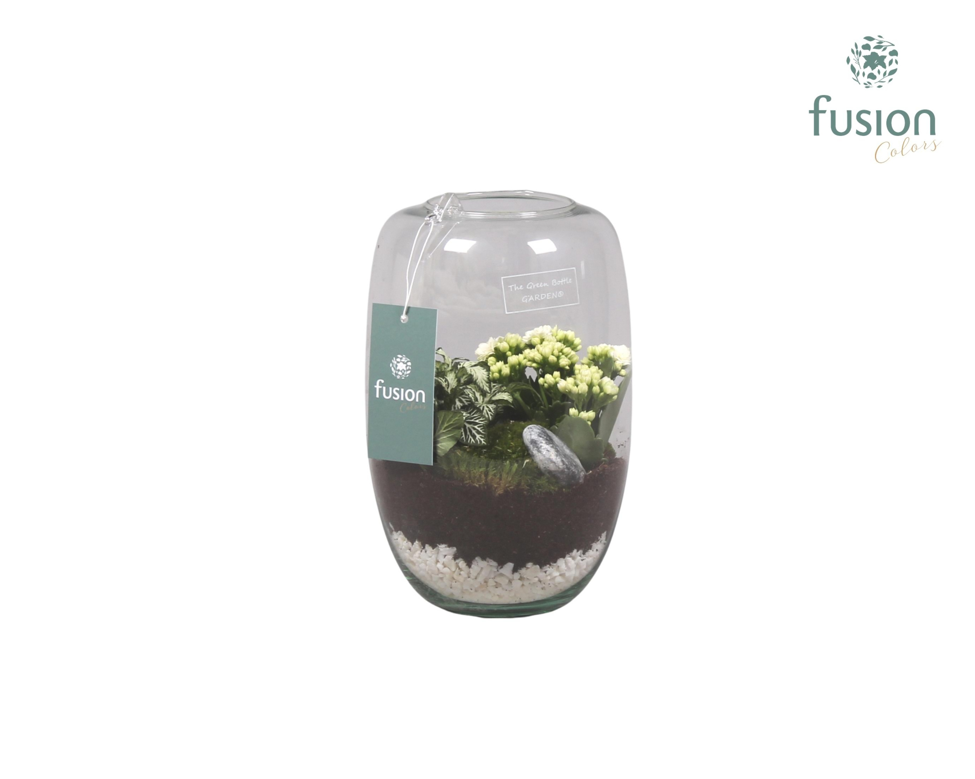 Green Bottle Isabella white met kalanchoe, D 15