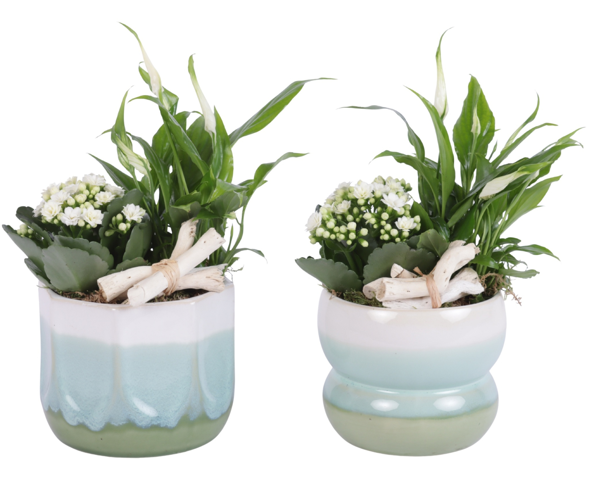 Yearround Arr. Indoor Ceramic Fresh Breeze FB675 Ø15cm 2PP, D 15