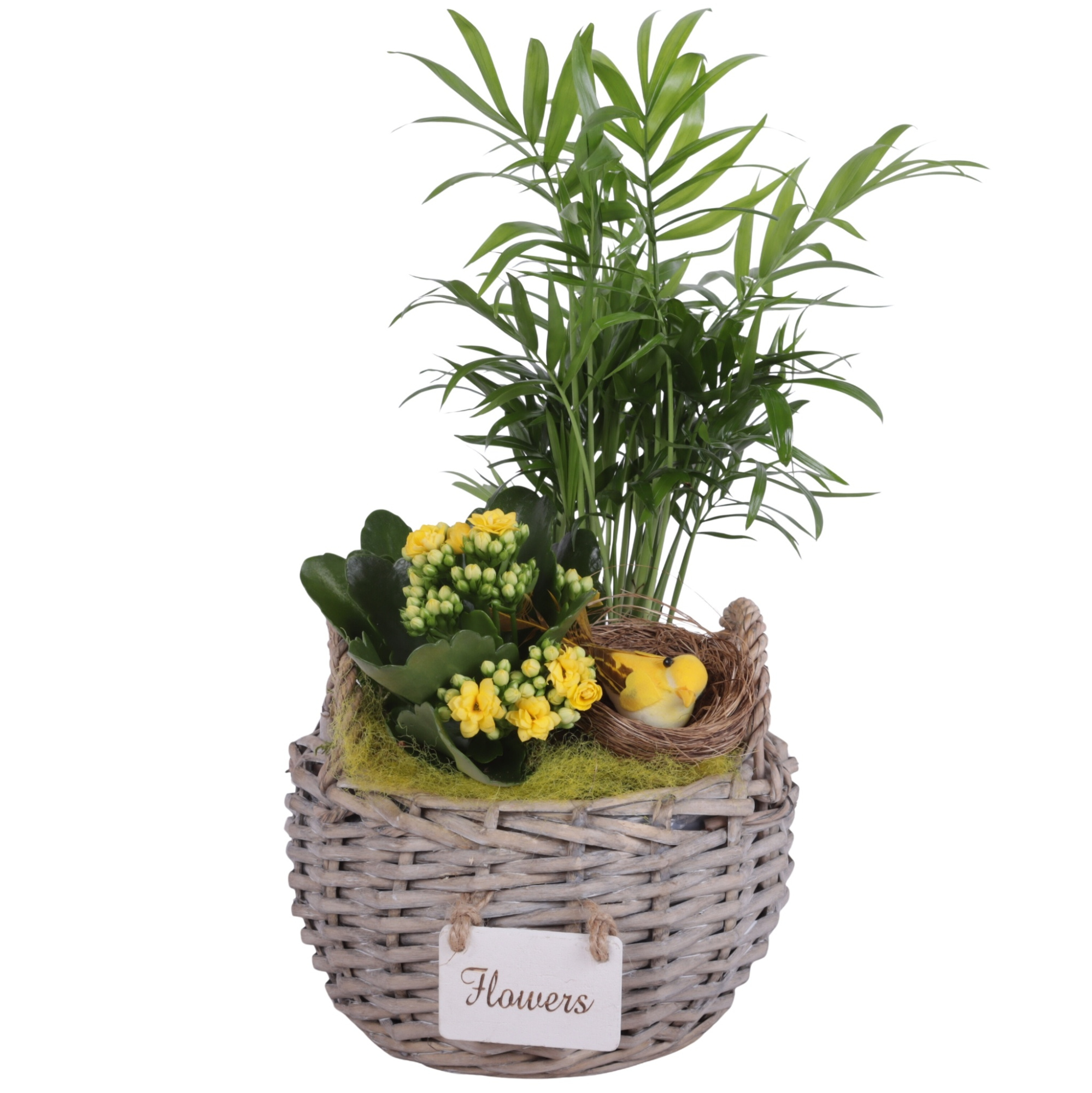 Easter Arr. Indoor Willow Basket Round Flowersign Ø18cm 2PP, D 18