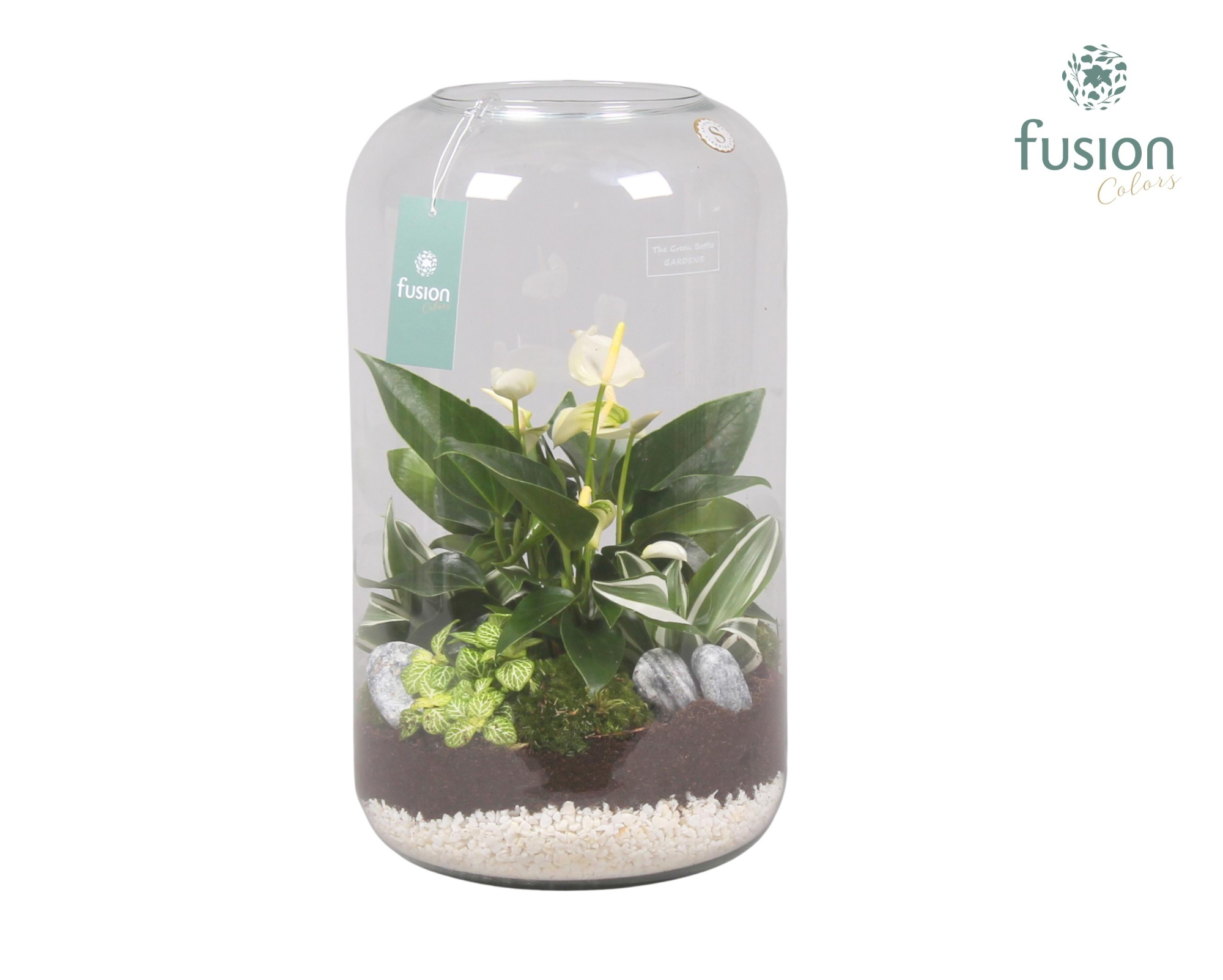 Green bottle xxlarge met white arrangement, D 23