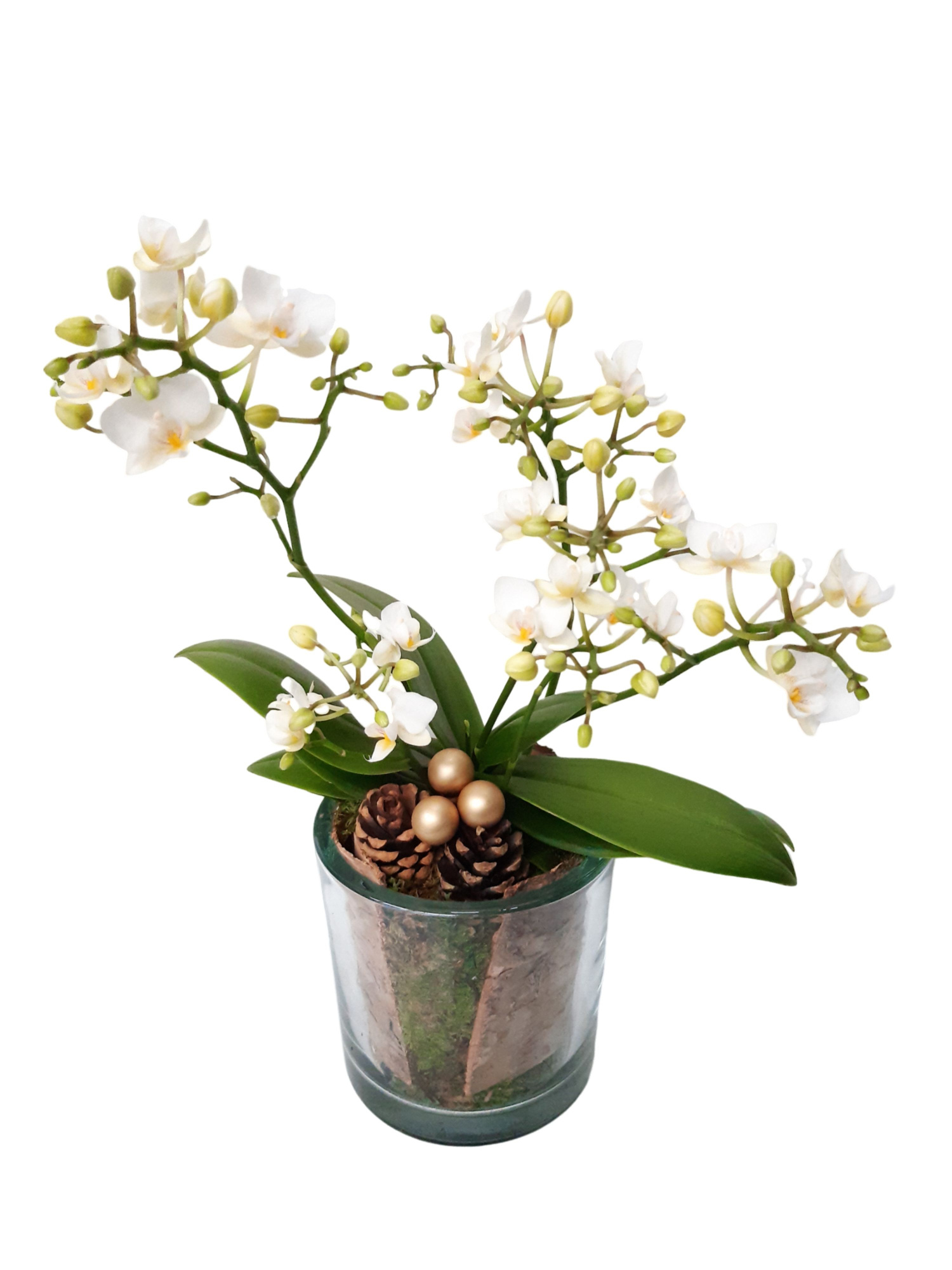 GCI14PWOKST Heavy Glass 14cm Wild Orchids 4t+ Kerst, D 14 cm