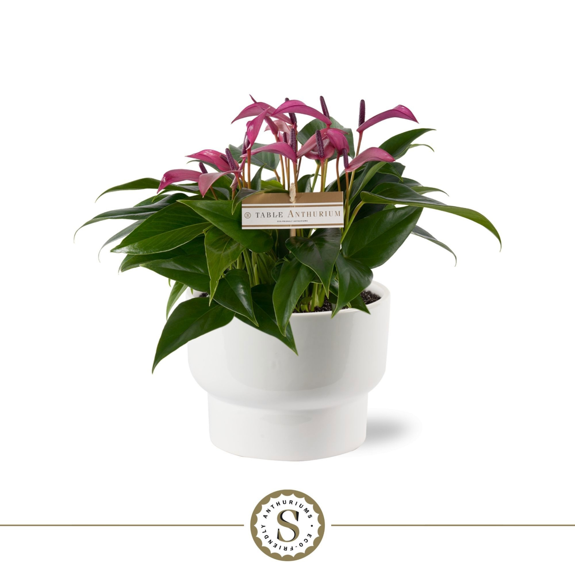 Athene Keramiek Green - Zizou, D 17