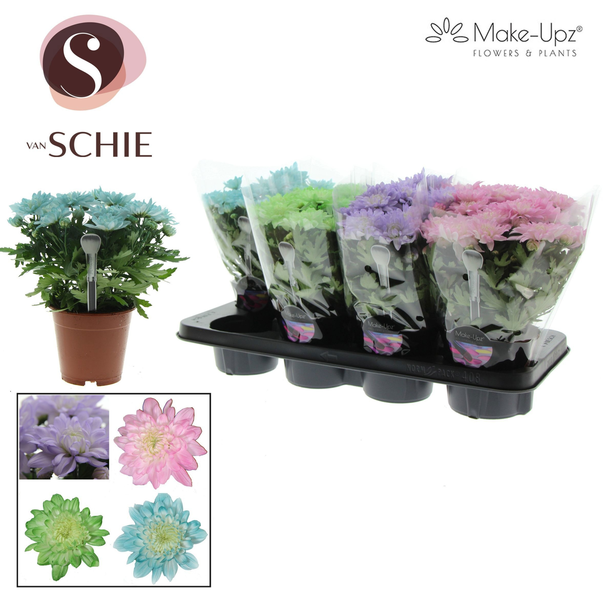 Ch Grandezza Make-Upz® PASTEL Mix, D 13