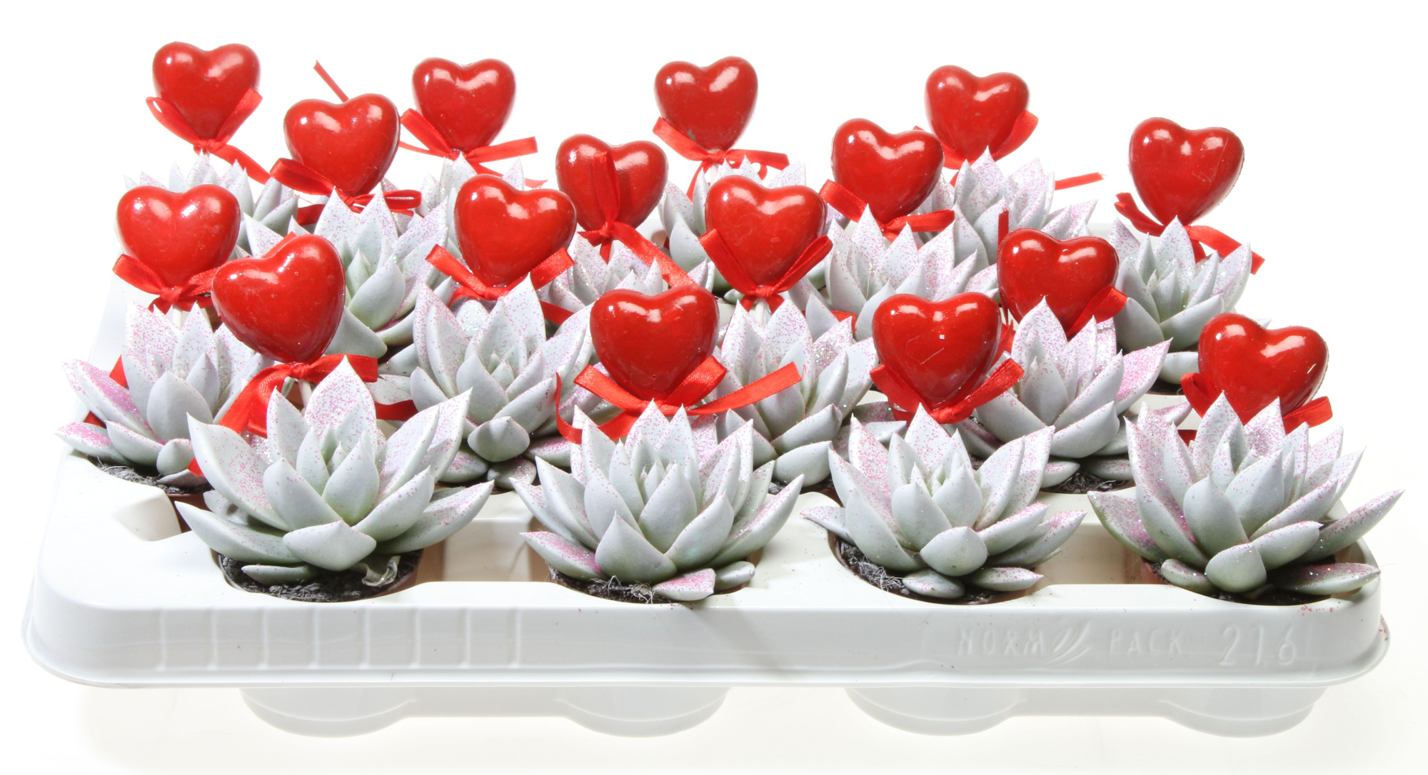 Miranda wit roze glitter + hartje, D 6