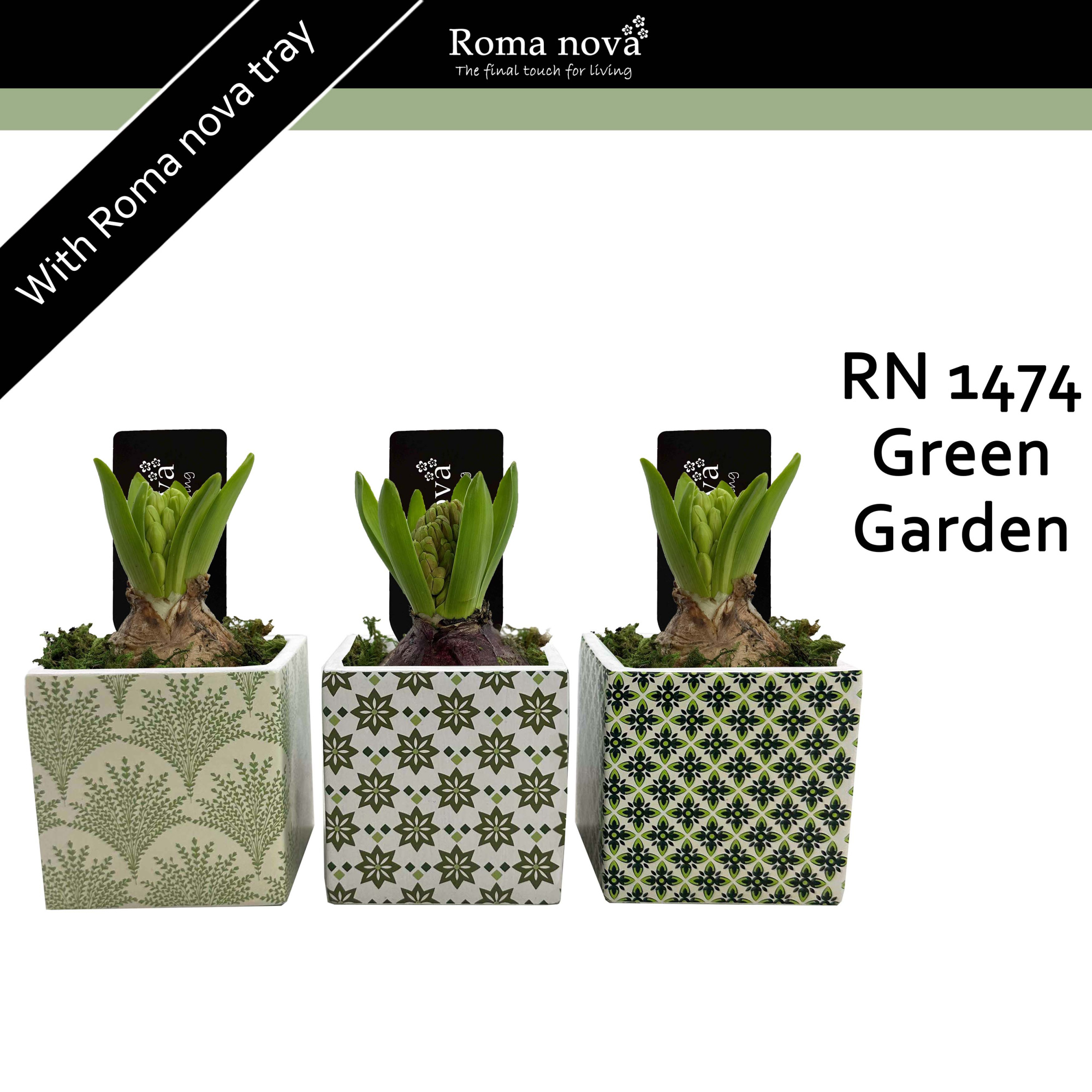 1474 - Green Garden (Hyacint), D 8