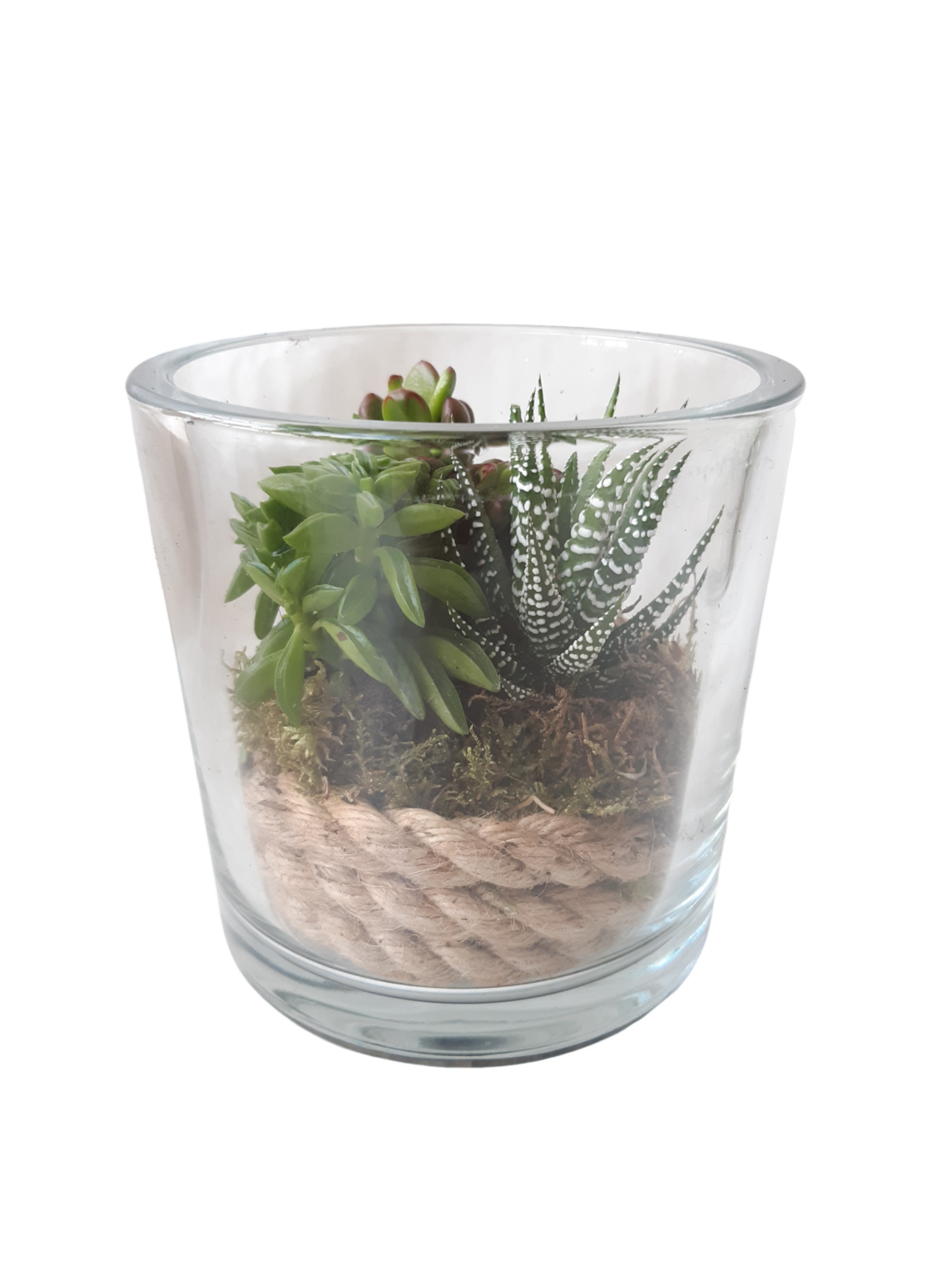 GCI14JMX glas dik mini groenmix + deco naturel, D 14 cm