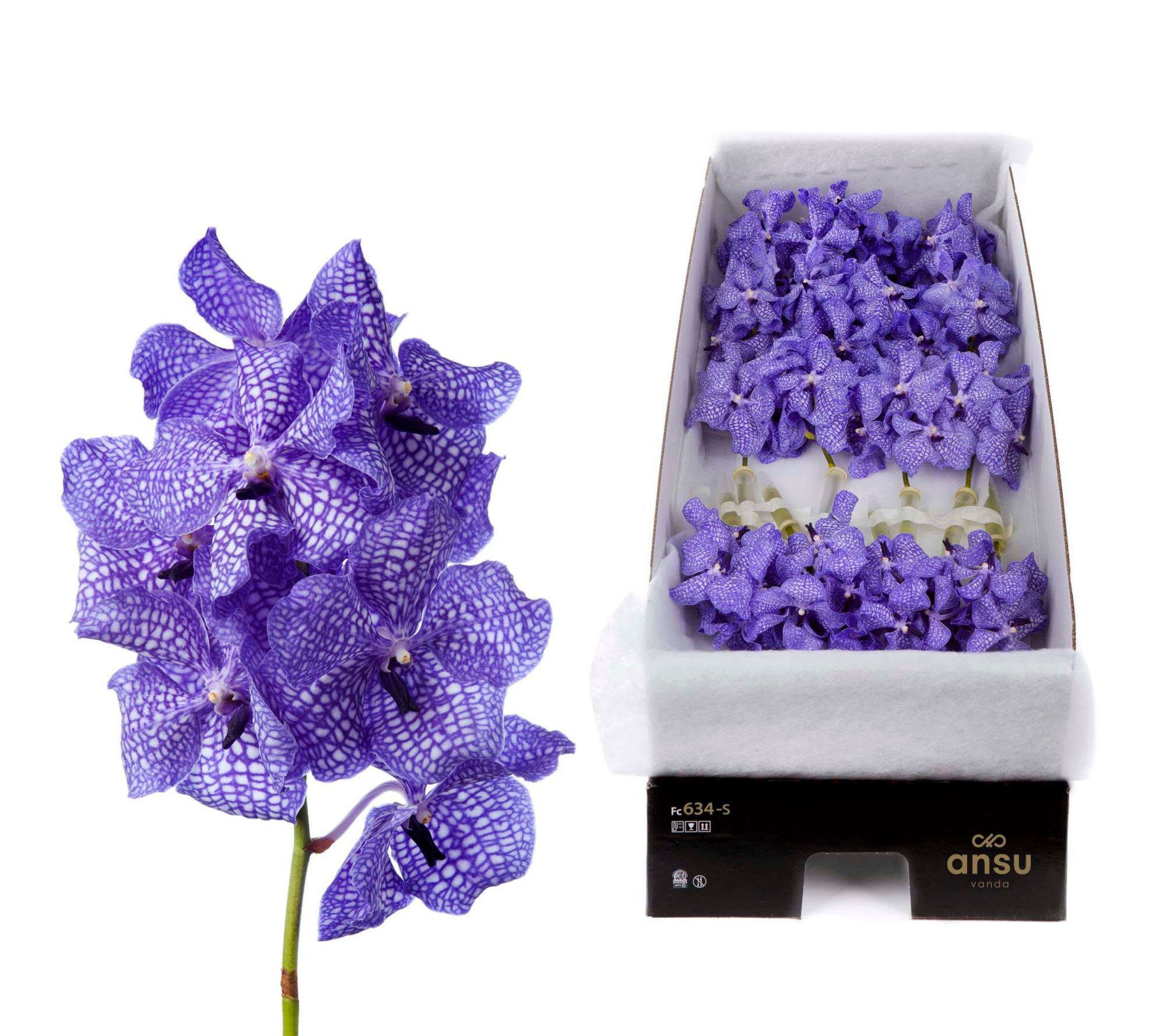 Ванда Кан Делфт Блю x16, шт.