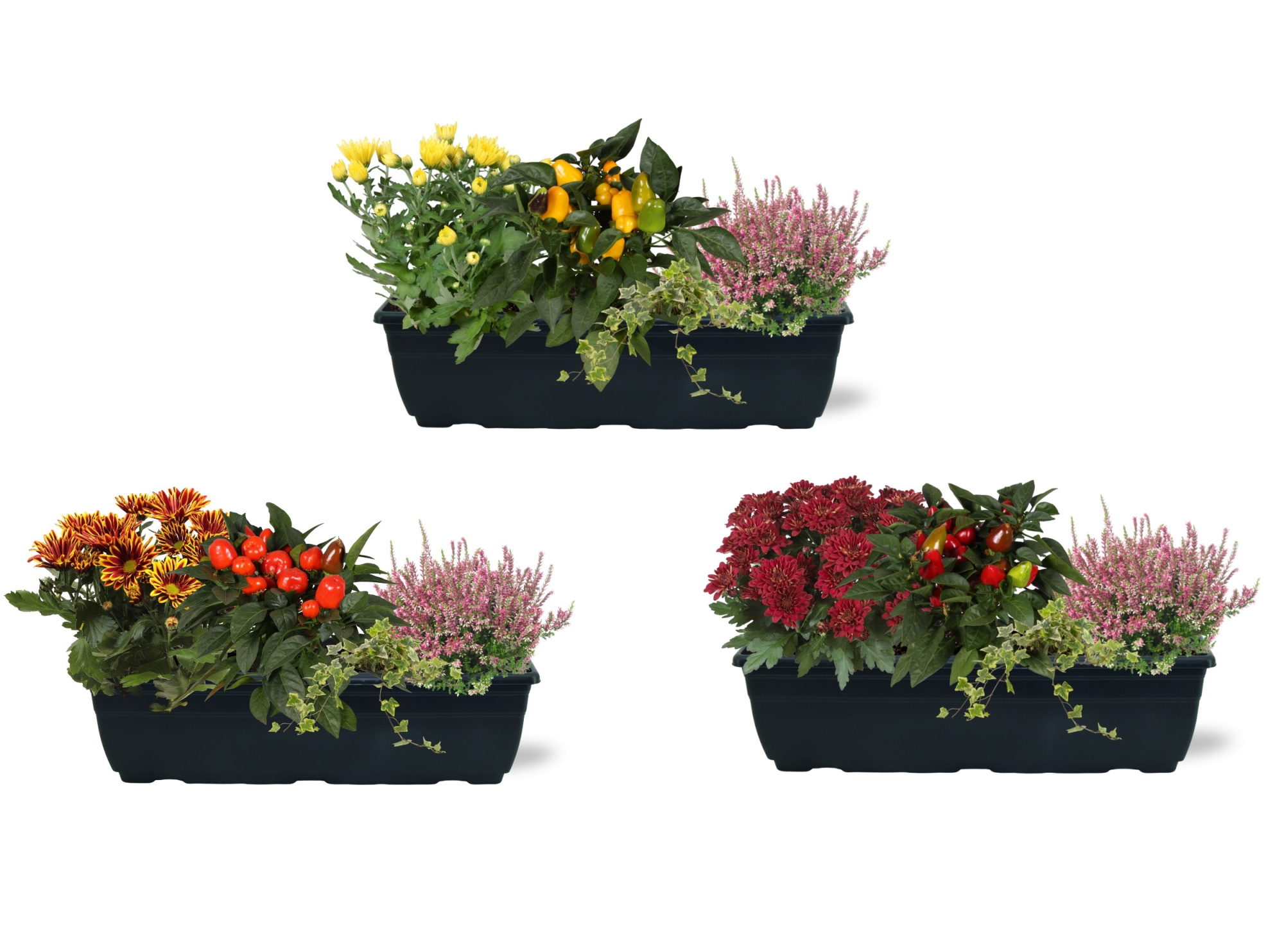 Arrangementen in duobak 40cm, D 40 cm