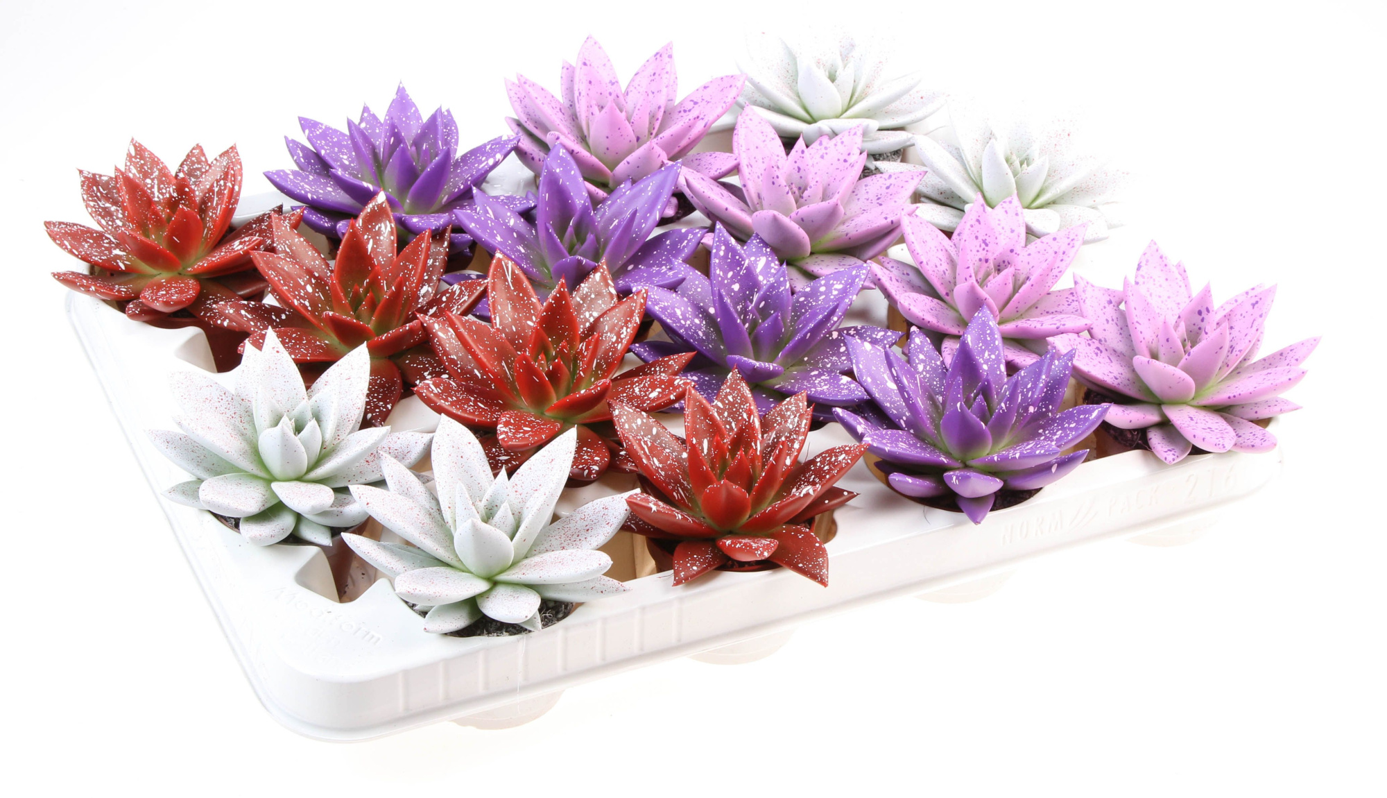 Miranda sprinkle love mix, D 6 cm